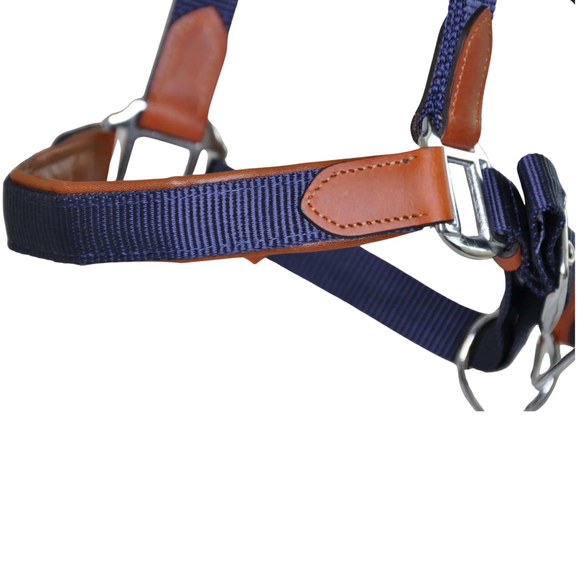 TdeT - Licol cuir et sangle marine