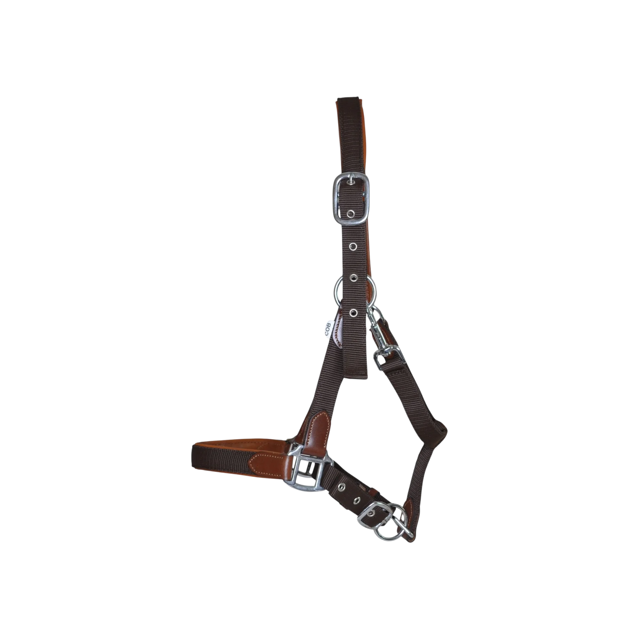 TdeT - Licol cuir et sangle marron