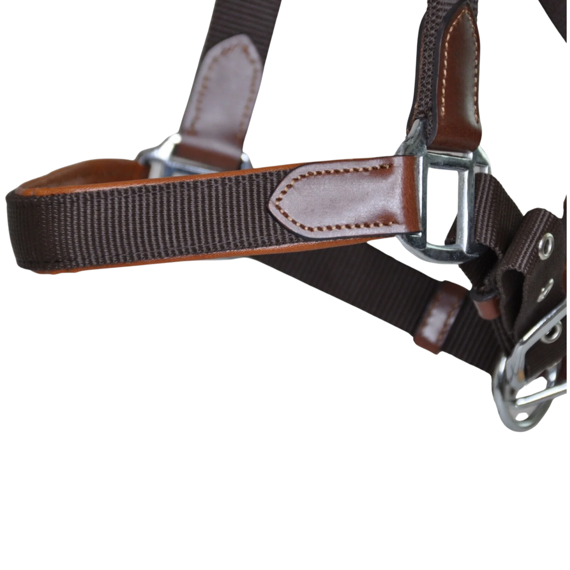 TdeT - Licol cuir et sangle marron