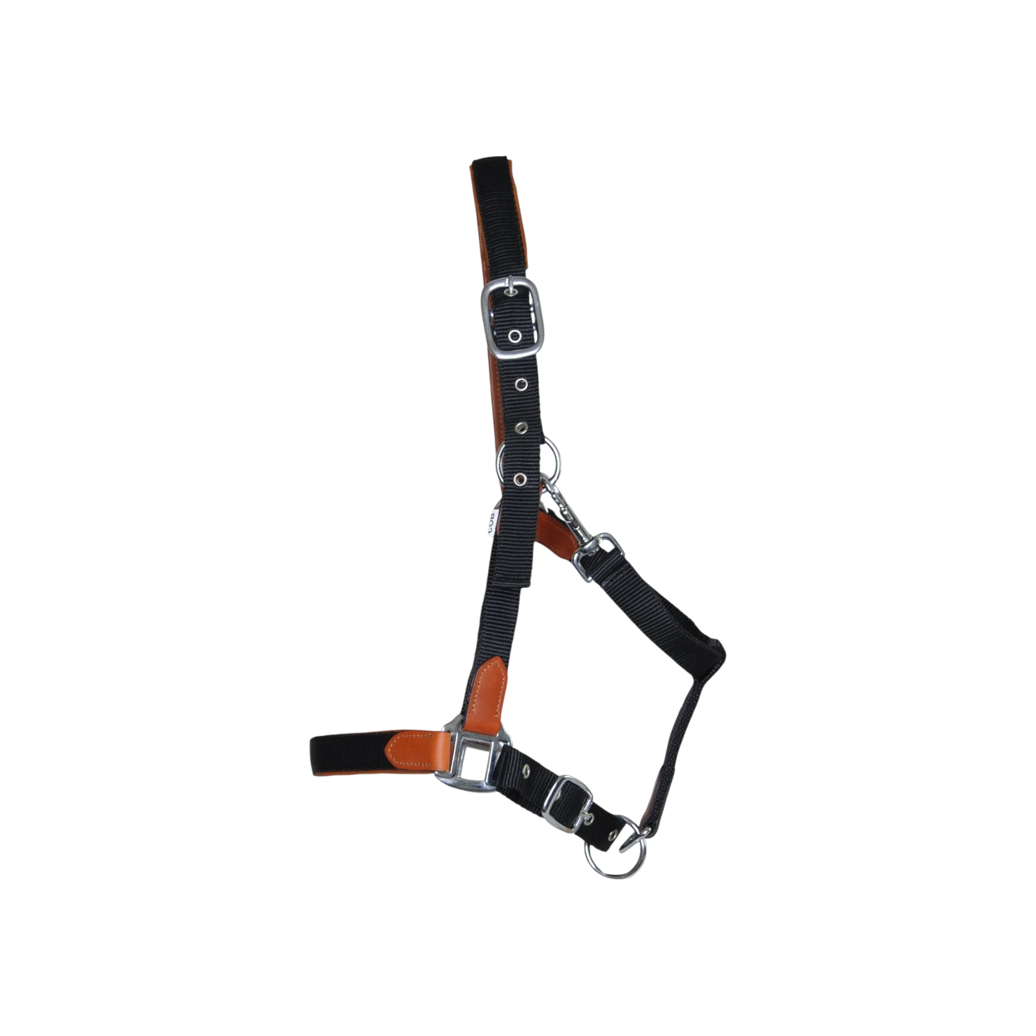 TdeT - Licol cuir et sangle noir