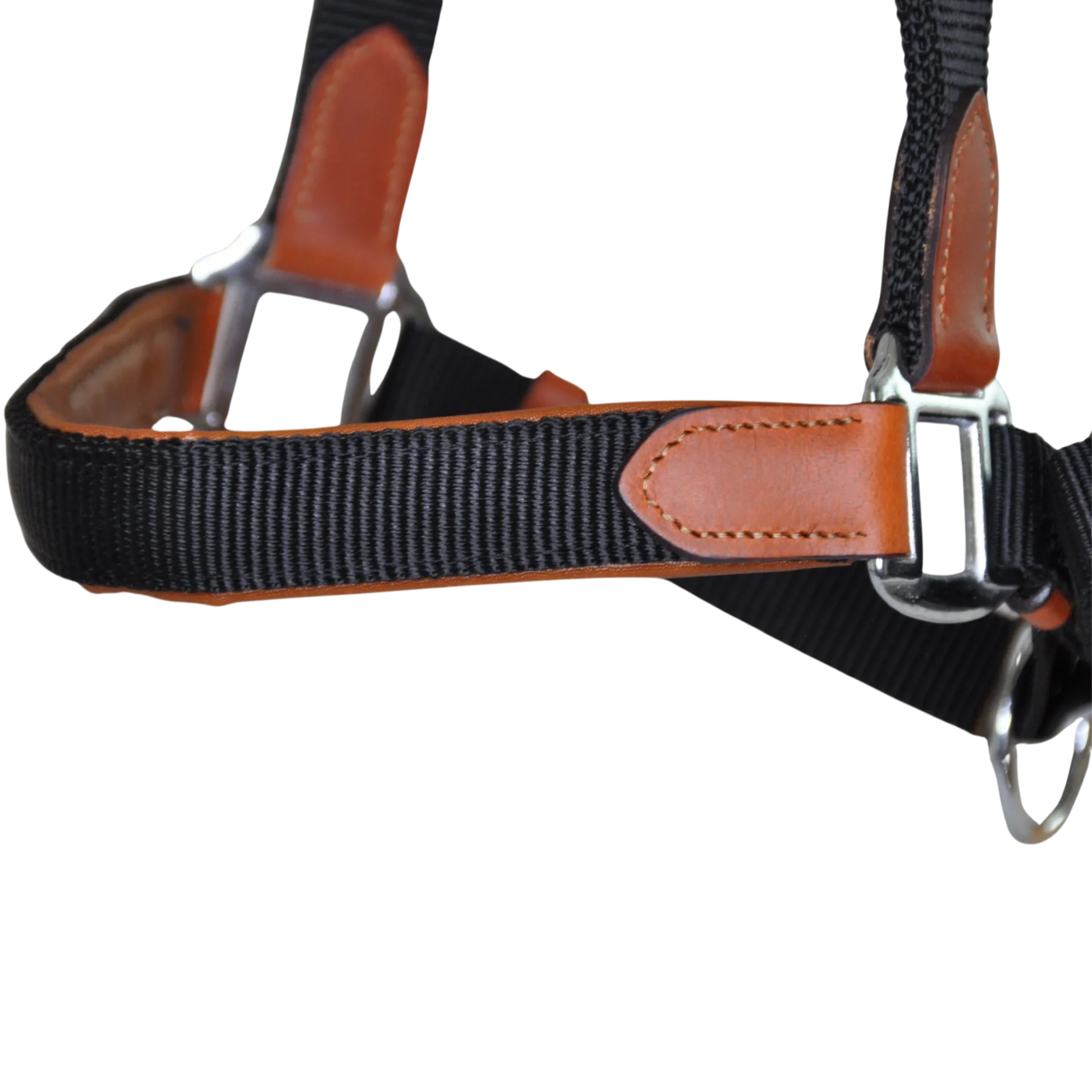 TdeT - Licol cuir et sangle noir