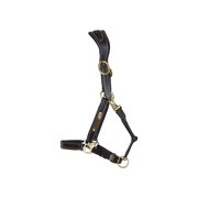 TdeT - Licol cuir têtière anatomique marron foncé