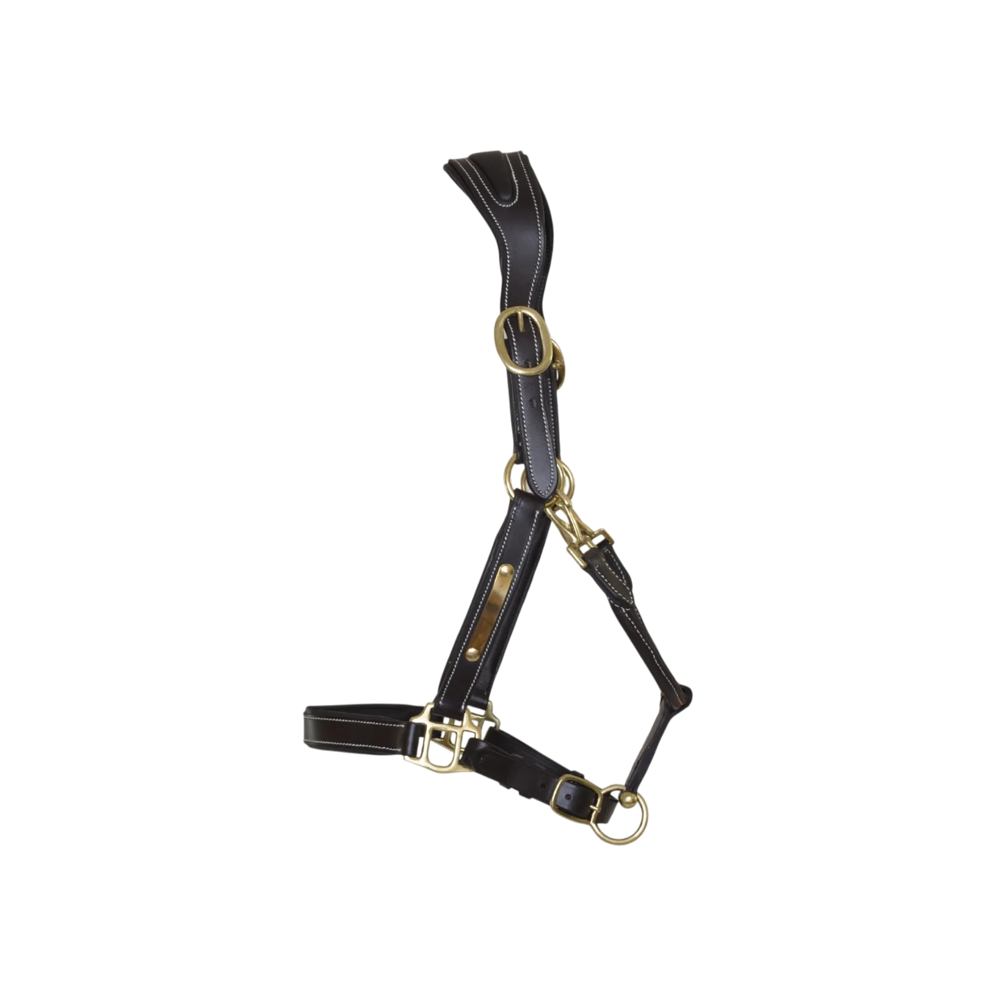 TdeT - Licol cuir têtière anatomique marron foncé