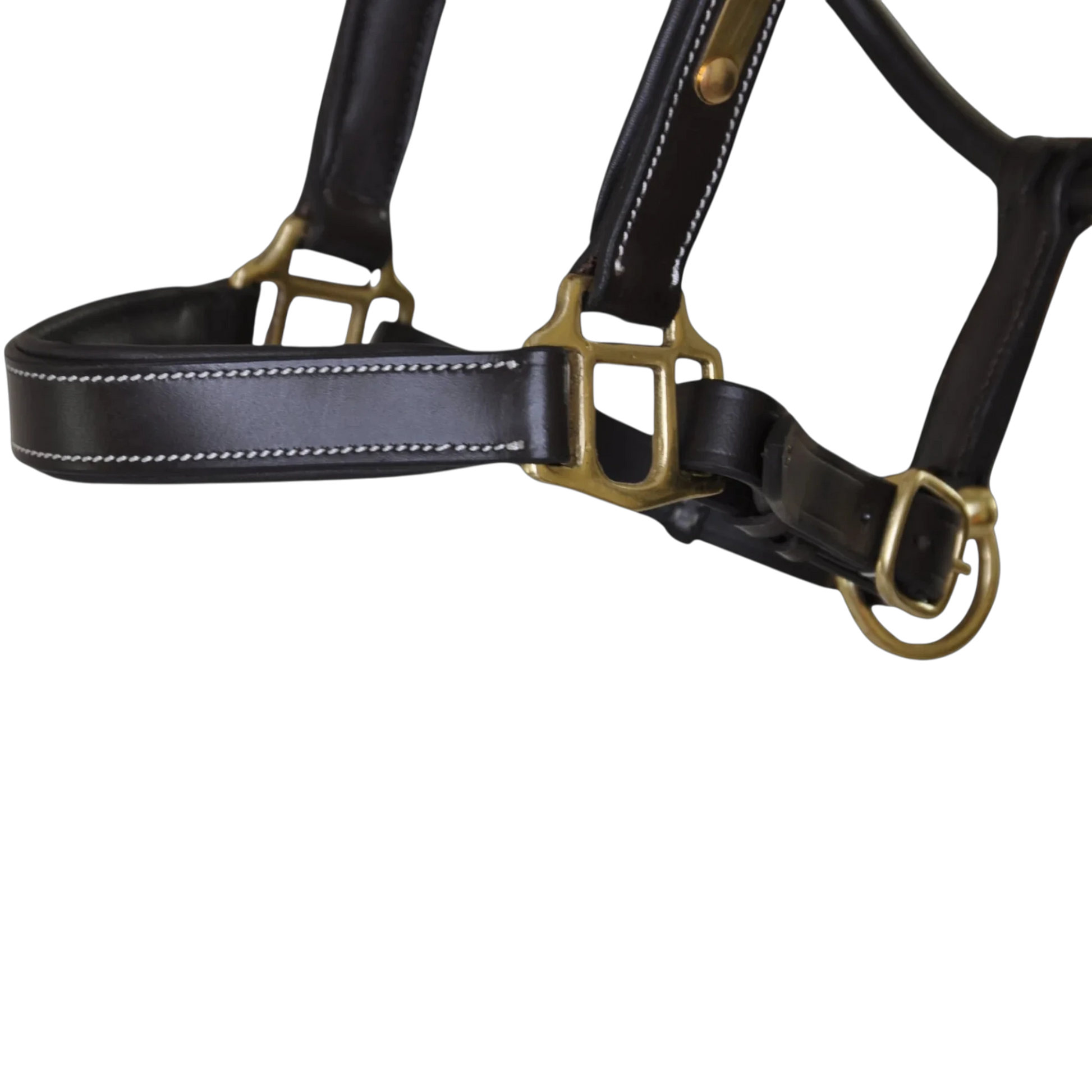 TdeT - Licol cuir têtière anatomique marron foncé