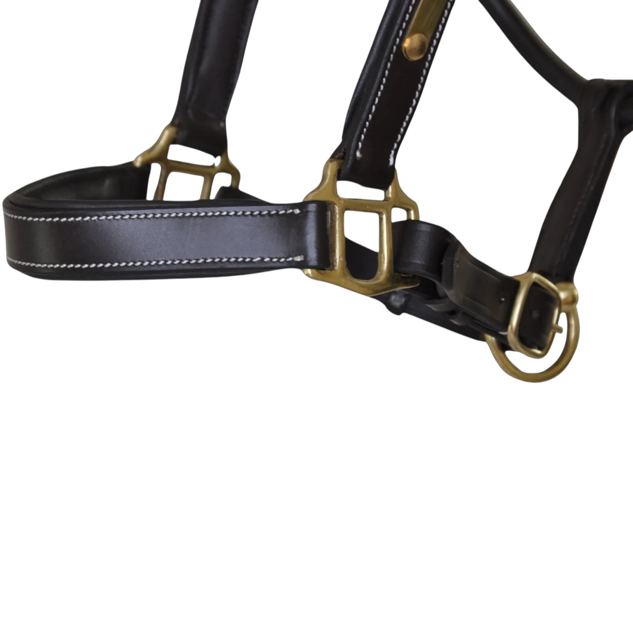 TdeT - Licol cuir têtière anatomique marron foncé