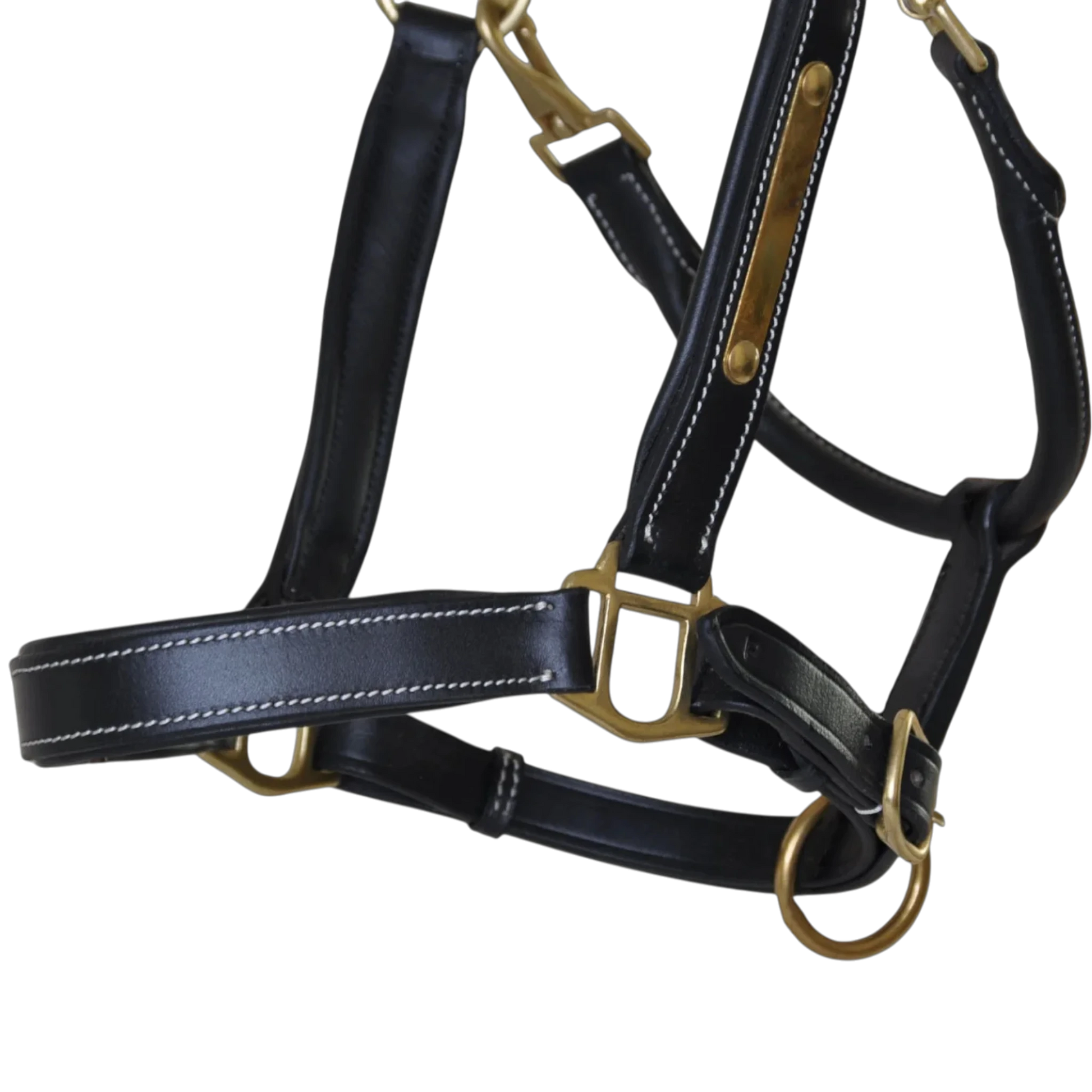 TdeT - Licol cuir têtière anatomique noir