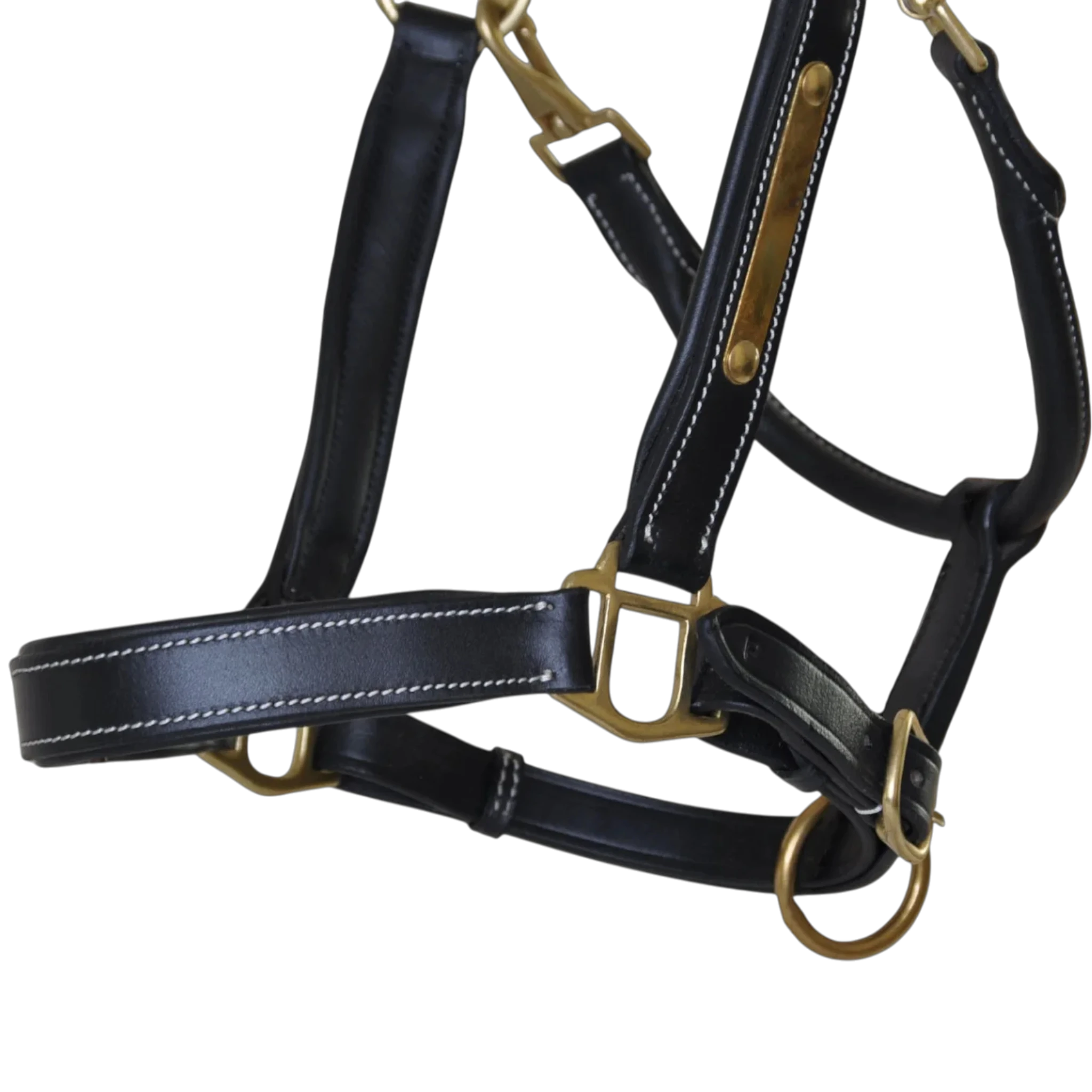 TdeT - Licol cuir têtière anatomique noir