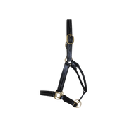 TdeT - Licol cuir triple stitched marron foncé