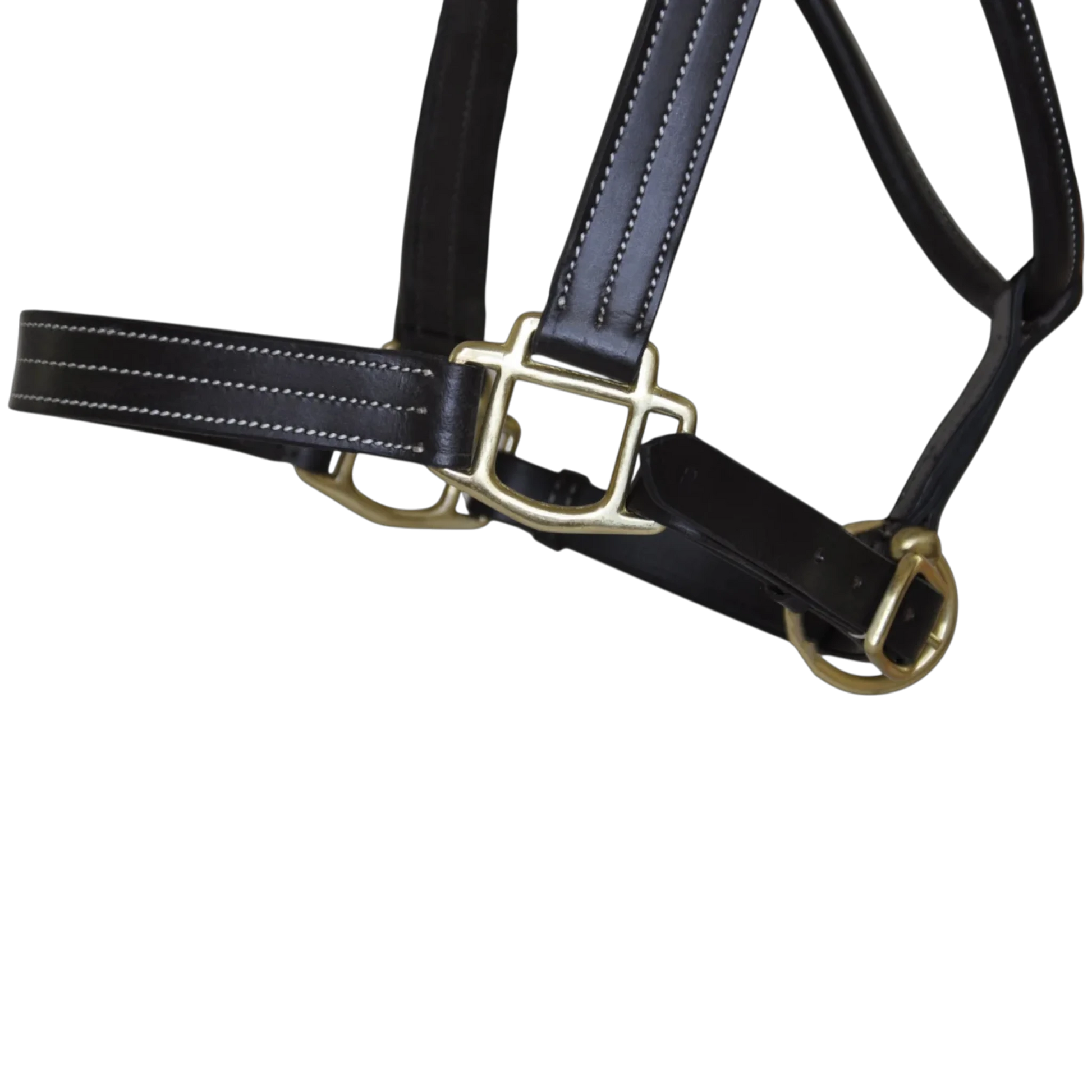 TdeT - Licol cuir triple stitched noir