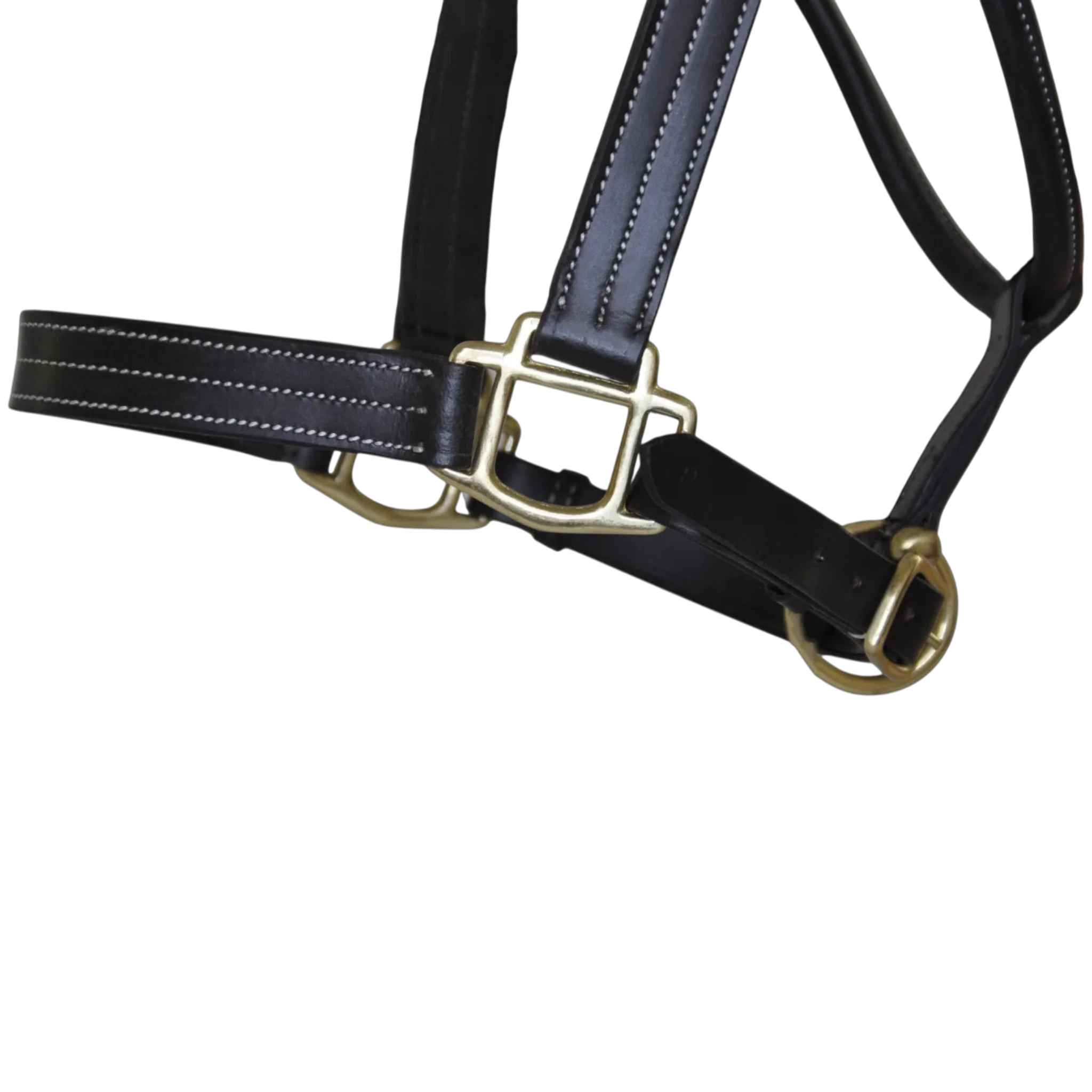 TdeT - Licol cuir triple stitched noir