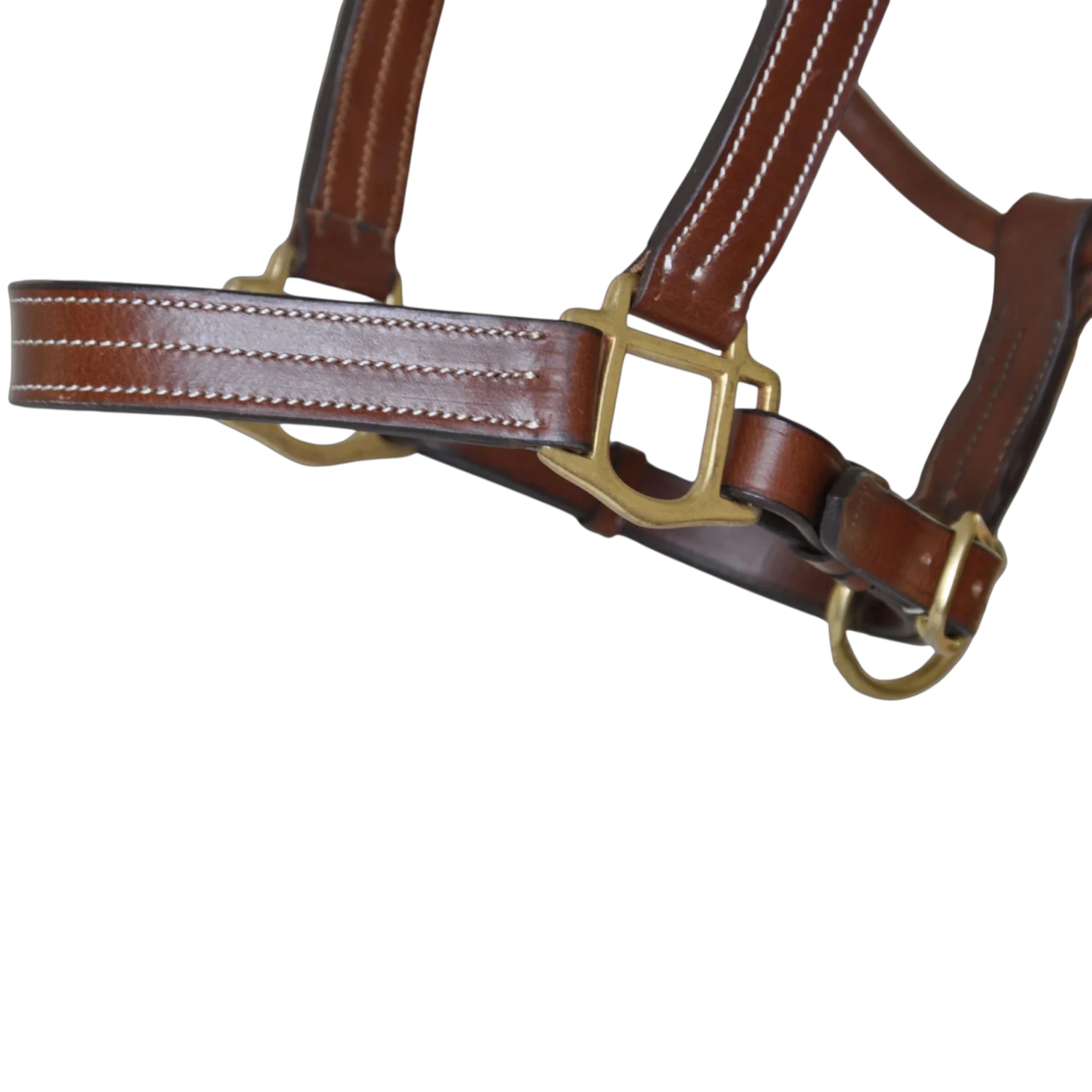 TdeT - Licol cuir triple stitched tabac