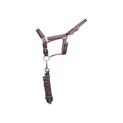 TdeT - Synthetic suede-lined halter with American lead rope burgundy/grey