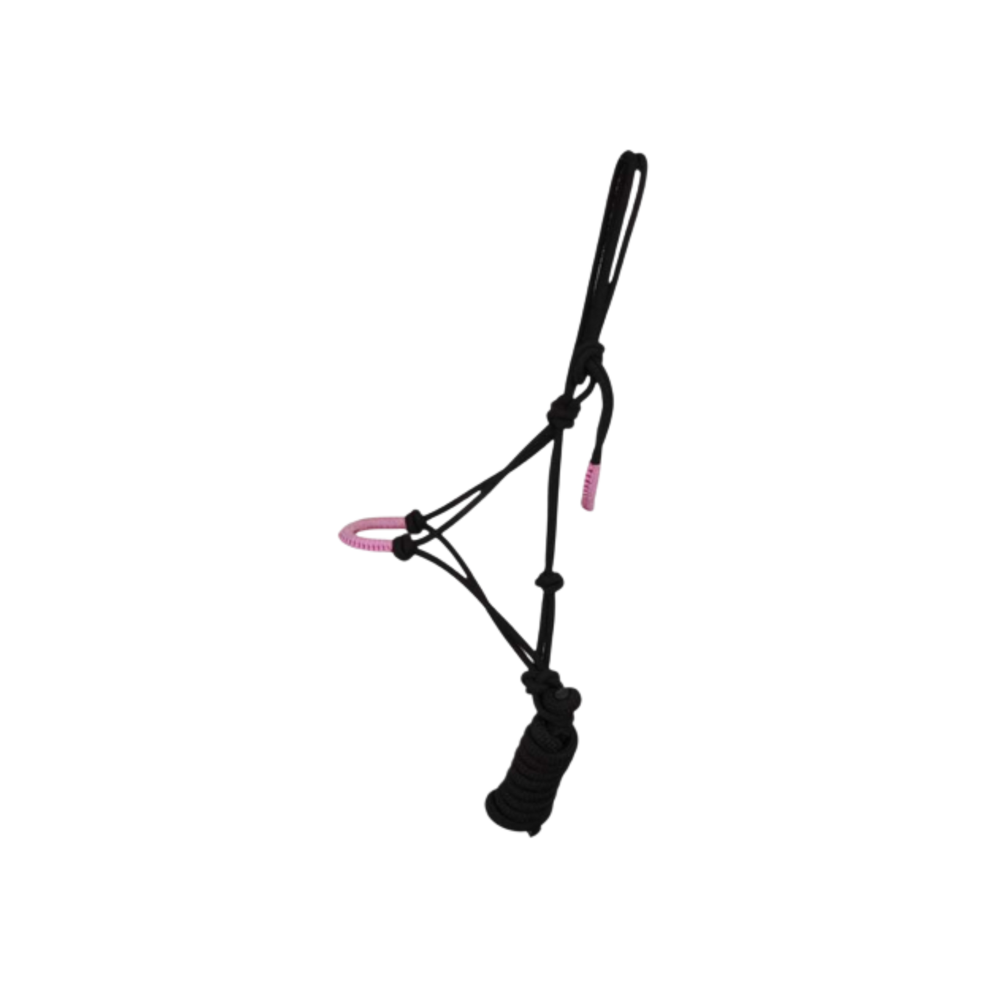 TdeT - Licol éthologique Confort noir/ rose 