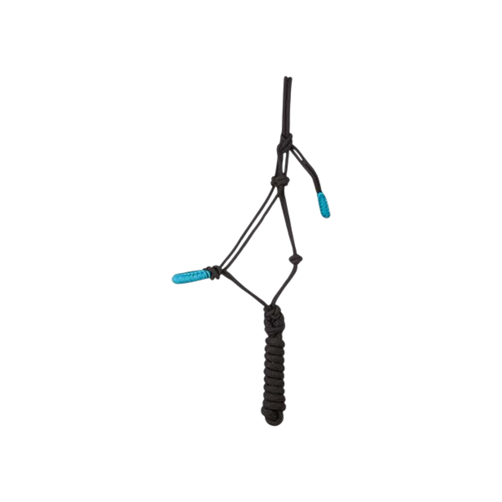 TdeT - Licol éthologique Confort noir/ turquoise