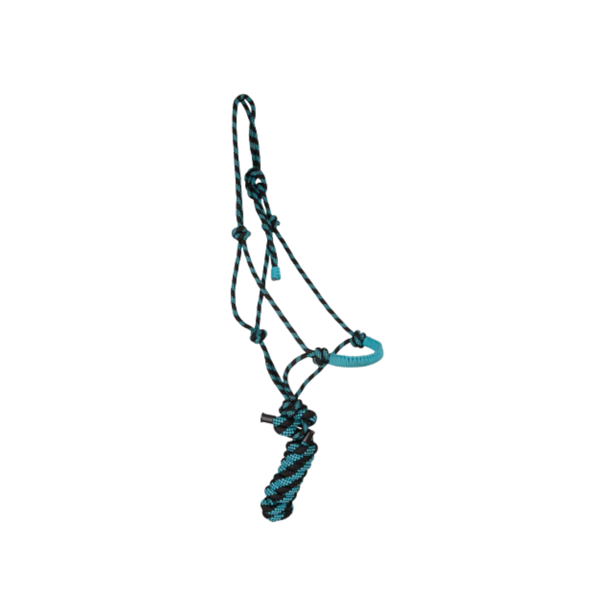 TdeT - Licol éthologique Confort noir/ turquoise mélangé