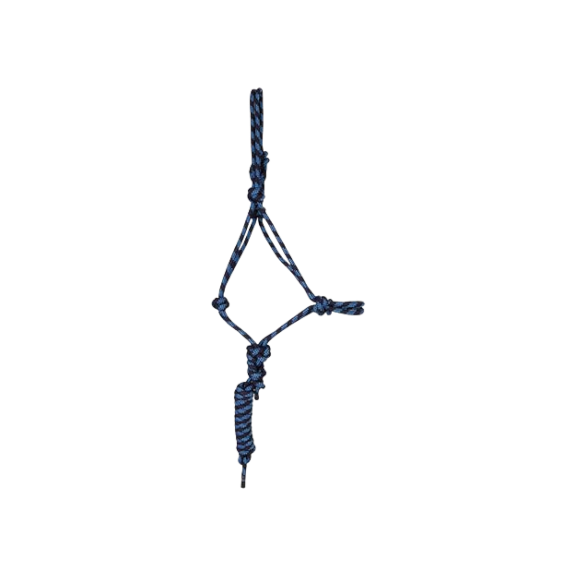 TdeT - Licol éthologique et longe Standard marine/ bleu ciel