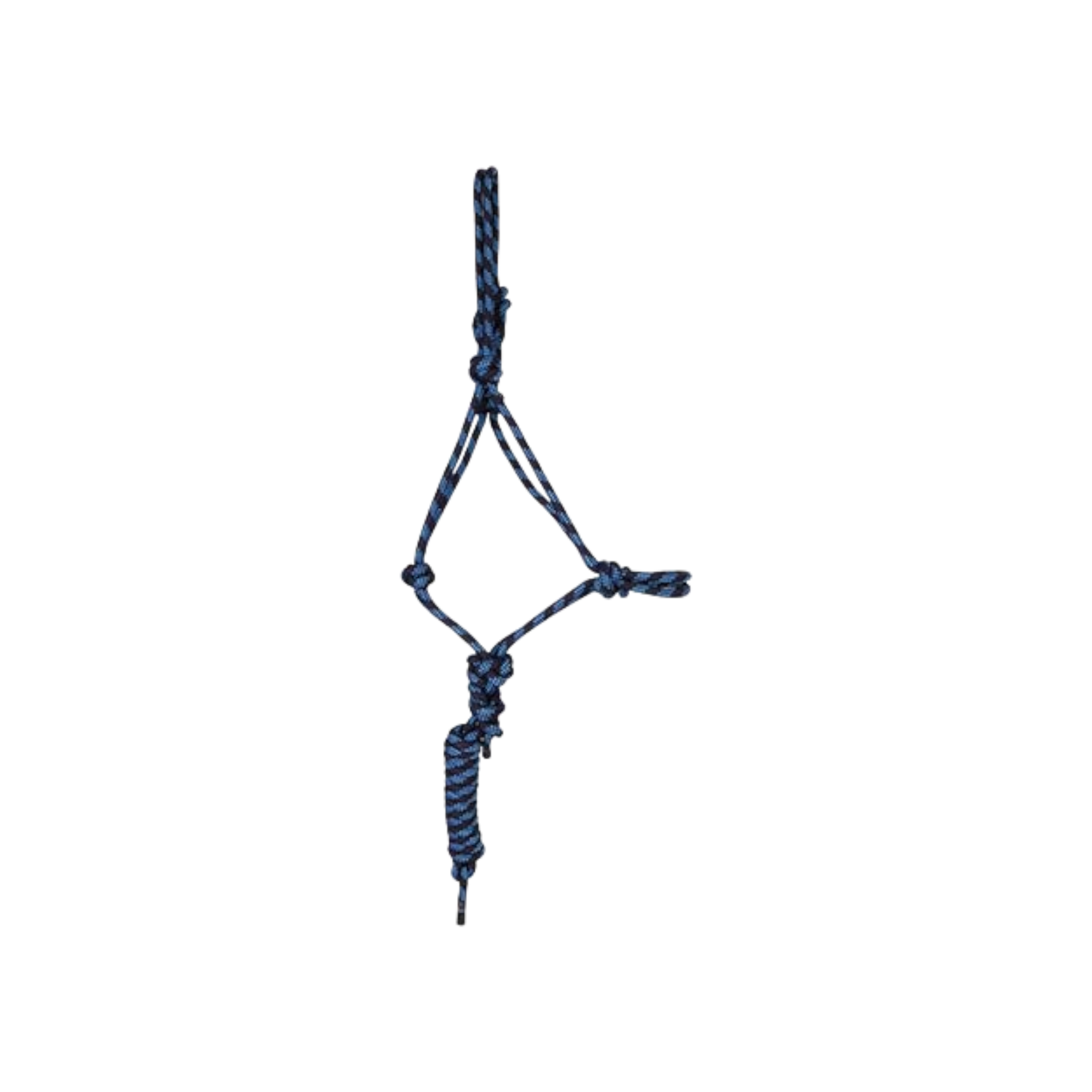 TdeT - Licol éthologique et longe Standard marine/ bleu ciel