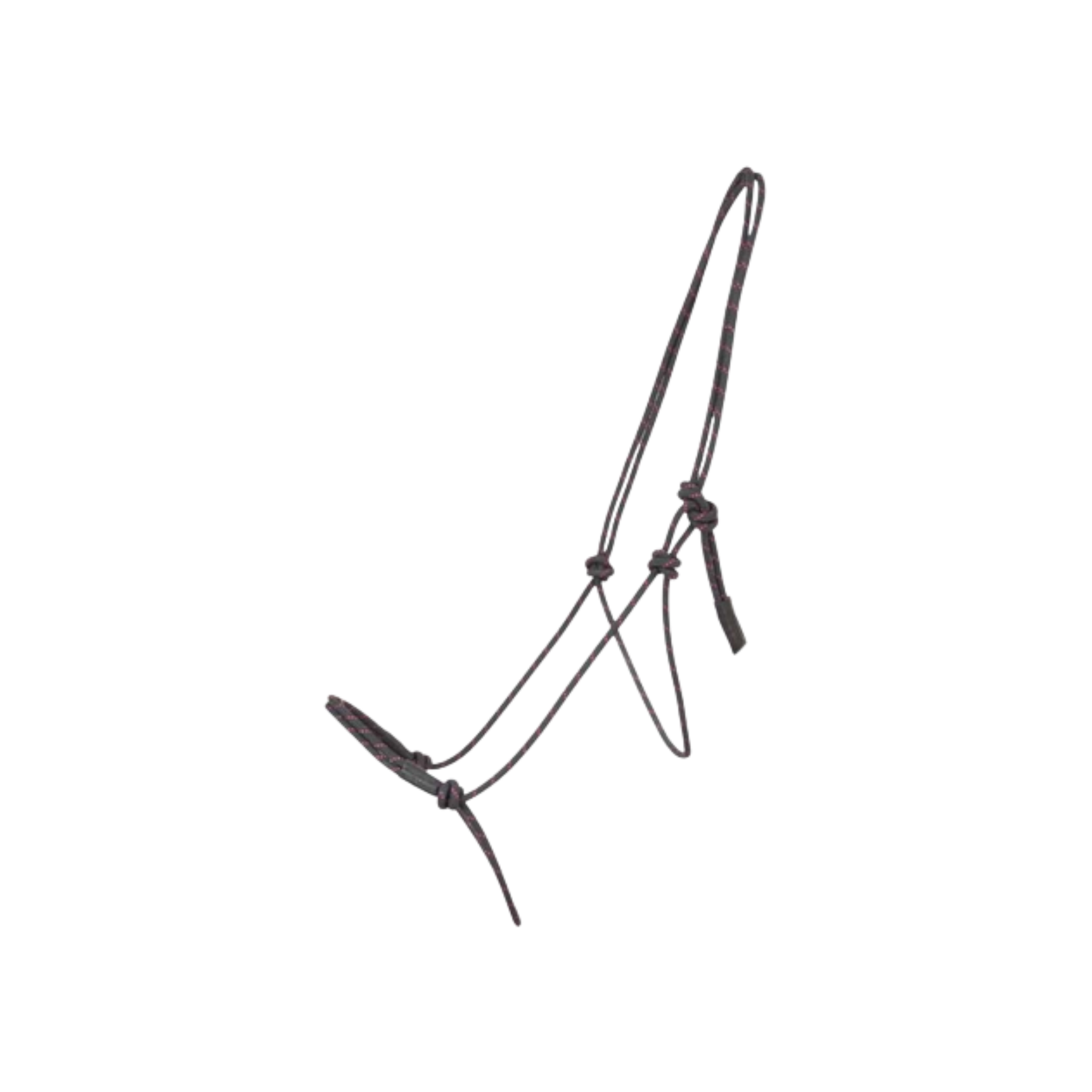 TdeT - Licol éthologique Modèle Pro noir fuchsia