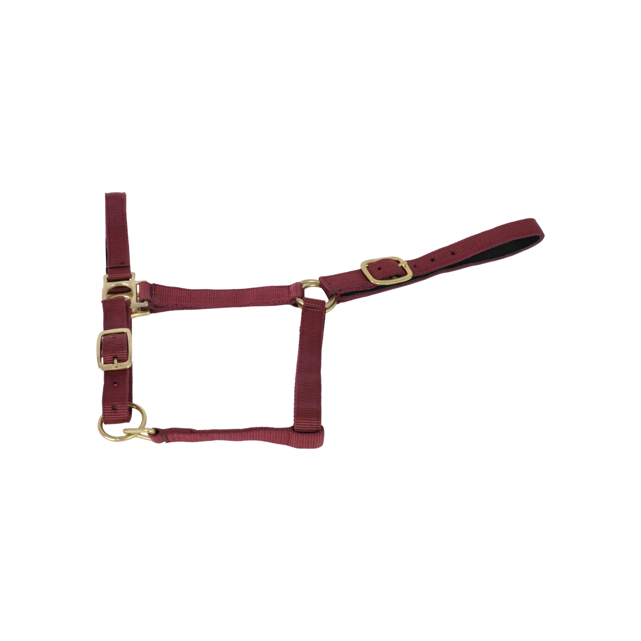 TdeT - Licol synthétique doublé suédine bordeaux
