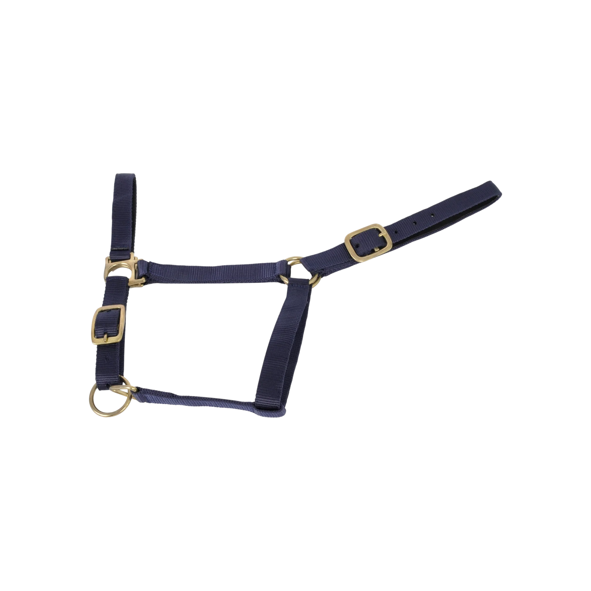 TdeT - Licol synthétique doublé suédine marine