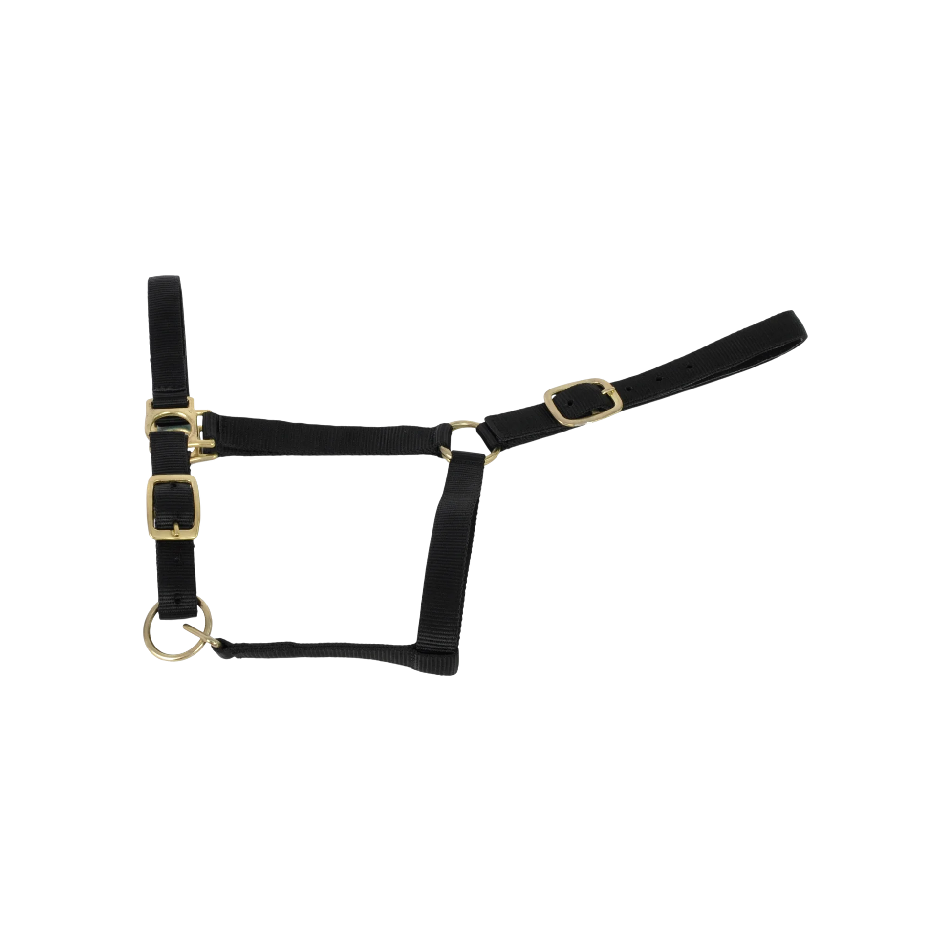 TdeT - Licol synthétique doublé suédine noir