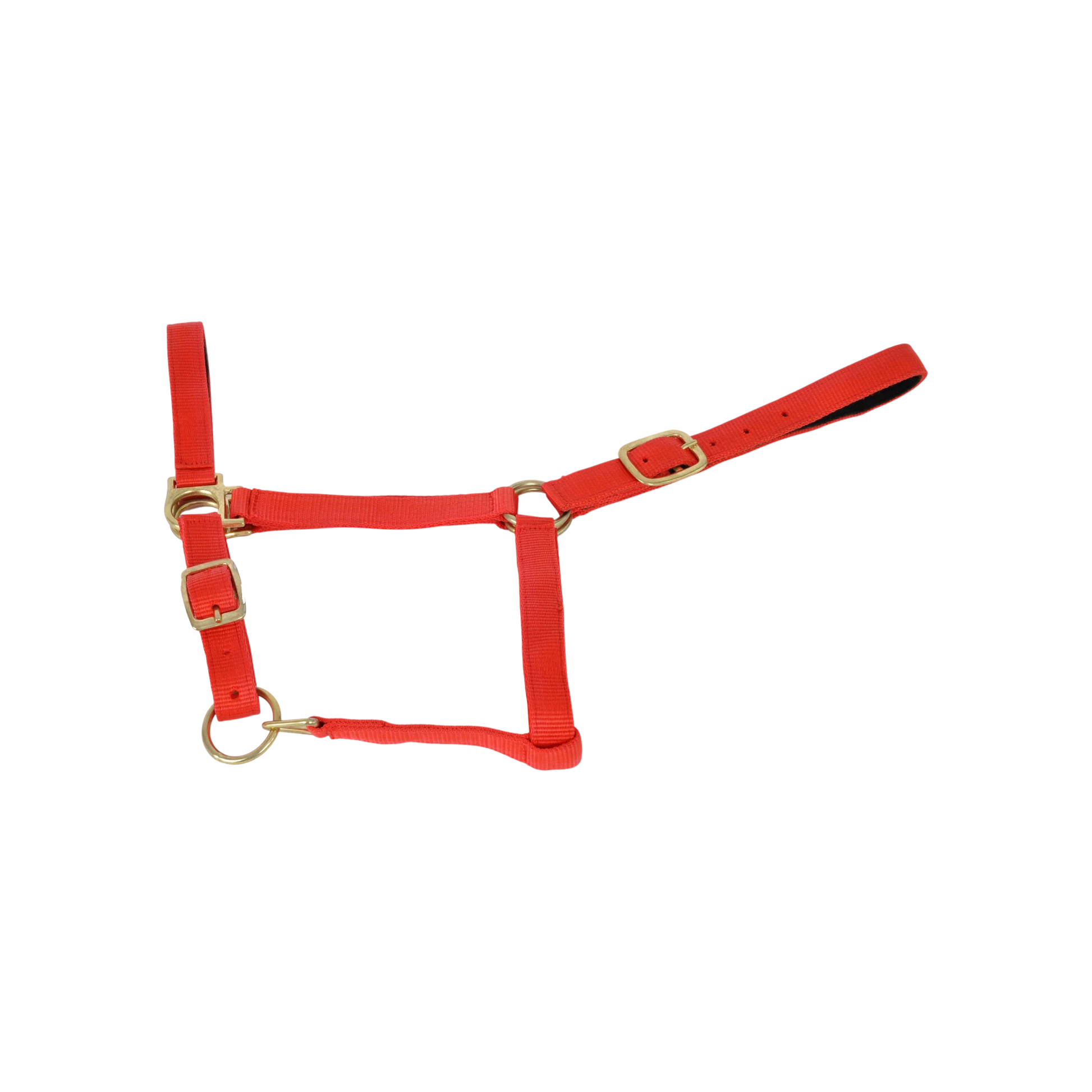 TdeT - Licol synthétique doublé suédine rouge