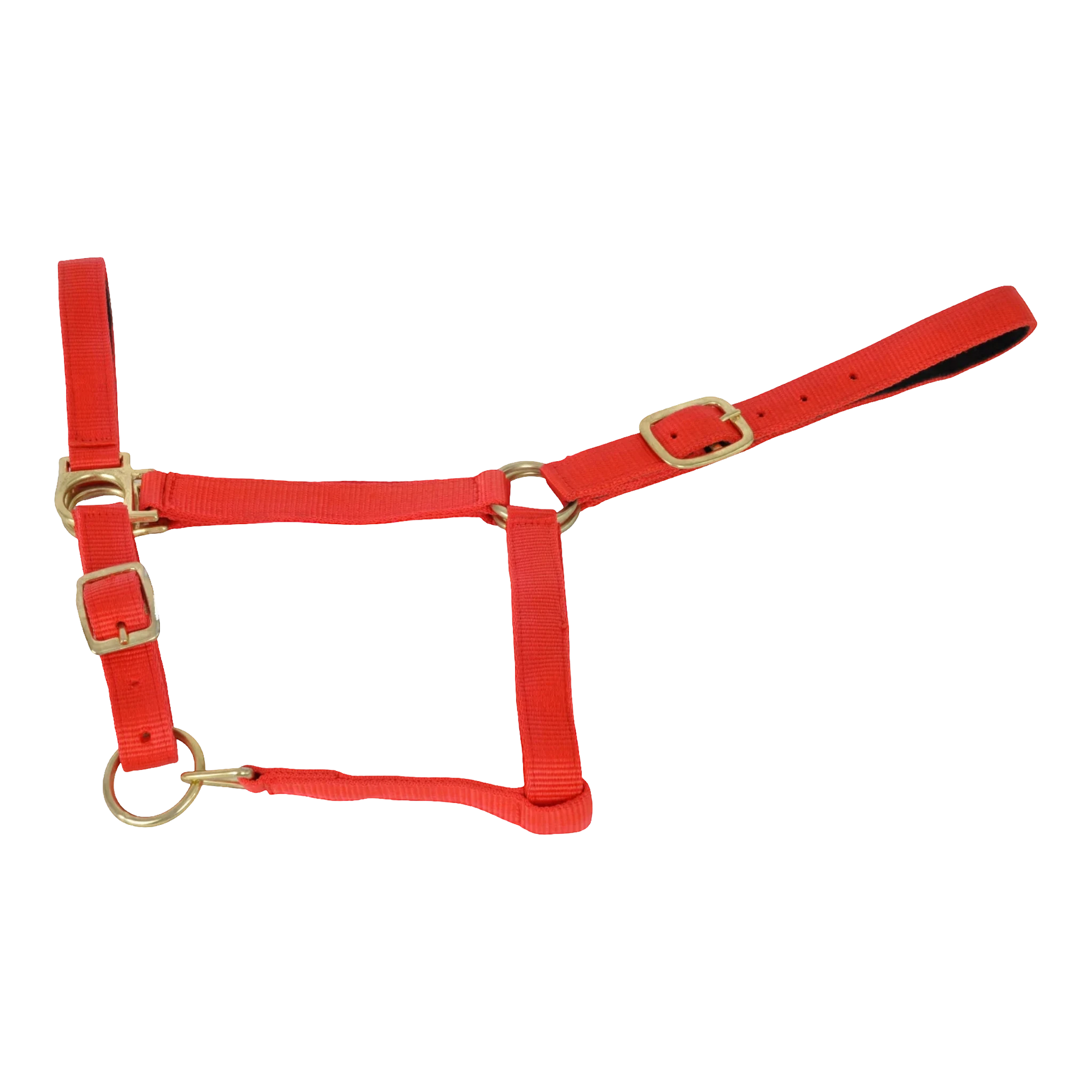 TdeT - Synthetic suede-lined halter red