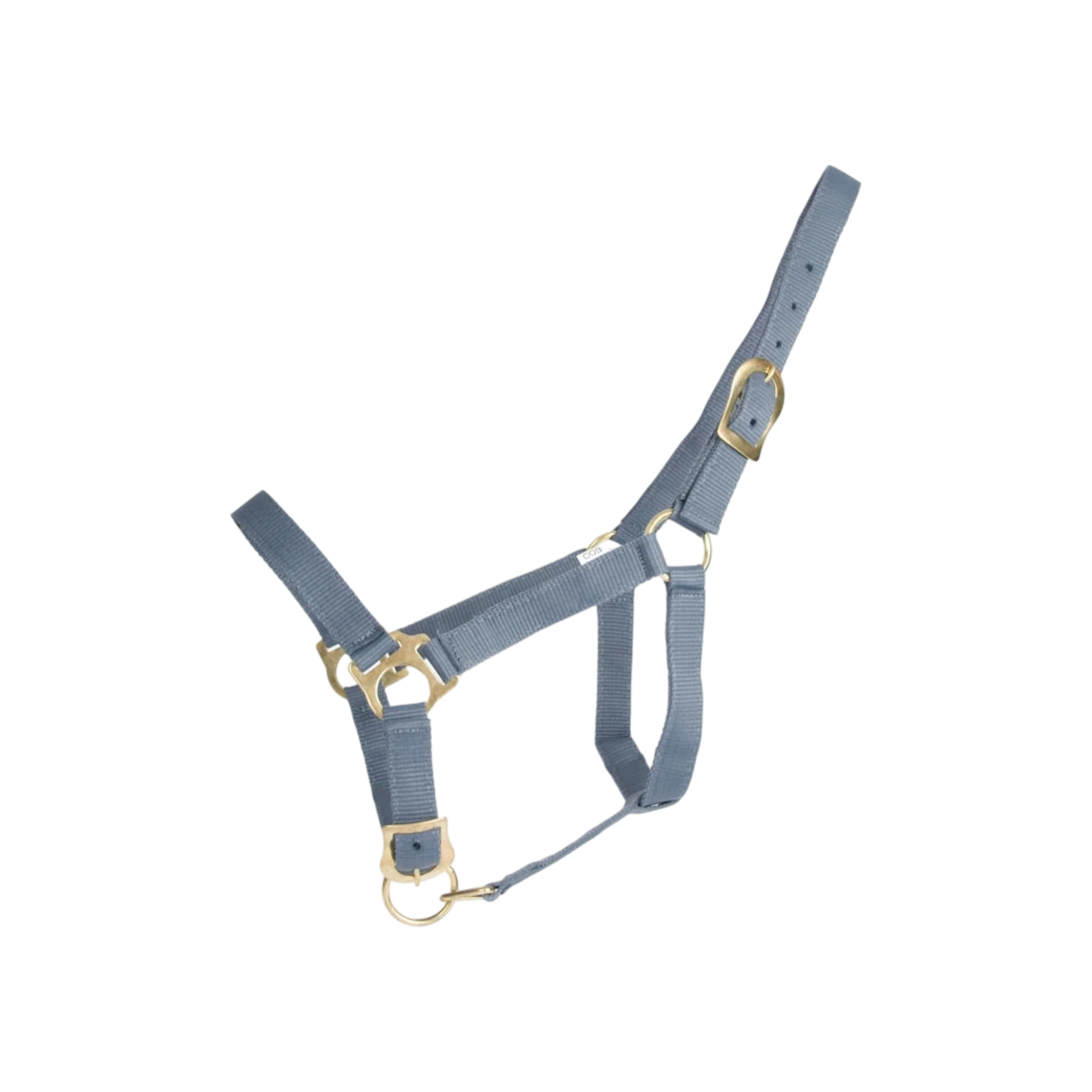 TdeT - Licol synthétique First gris