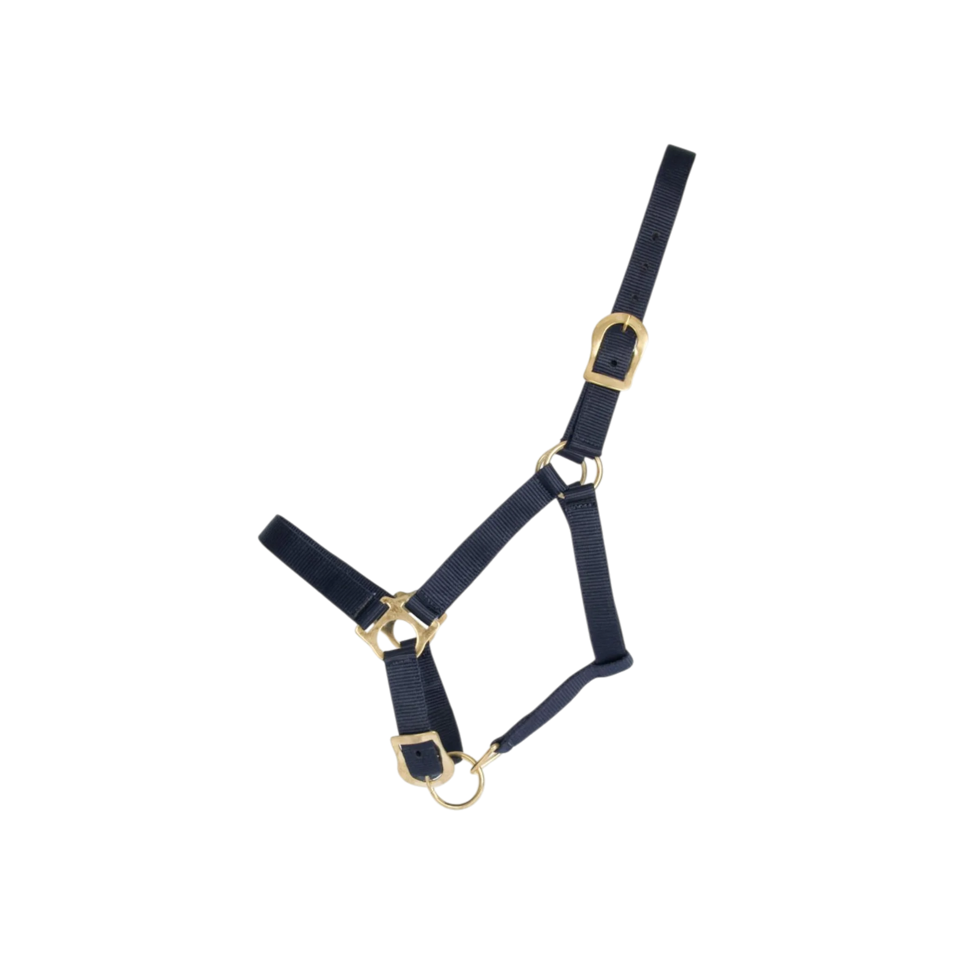 TdeT - Licol synthétique First marine