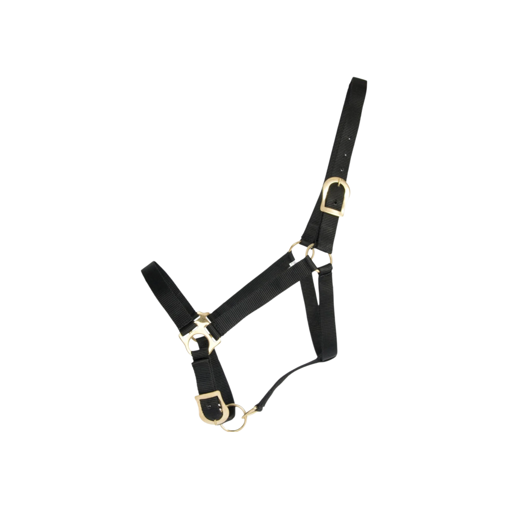 TdeT - Licol synthétique First noir