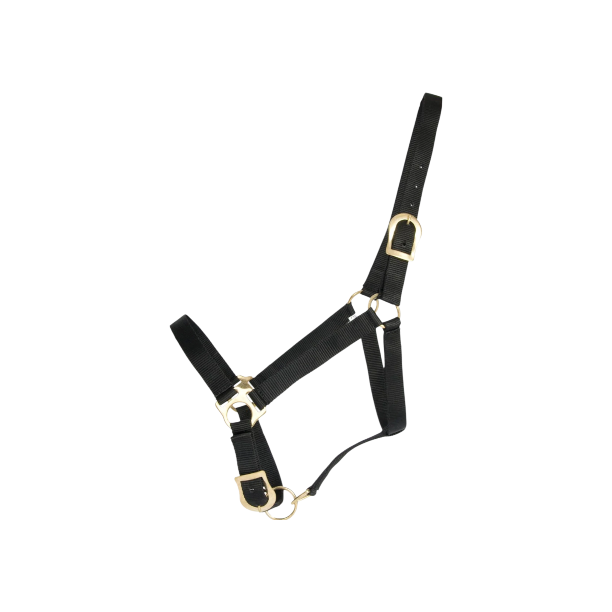 TdeT - Licol synthétique First noir