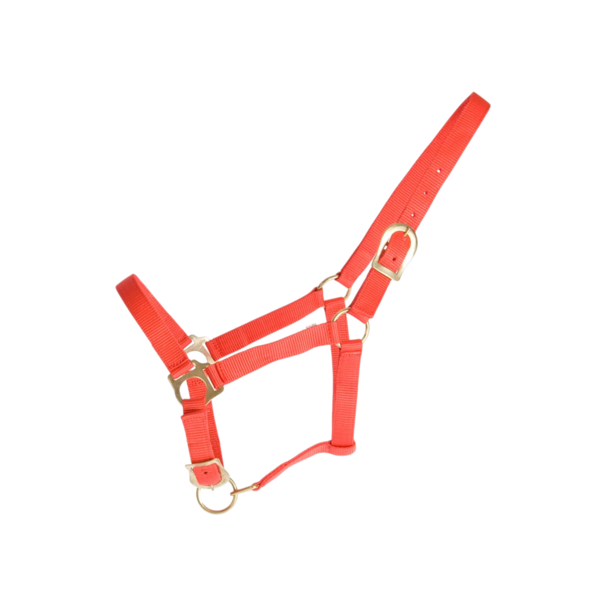 TdeT - Licol synthétique First rouge