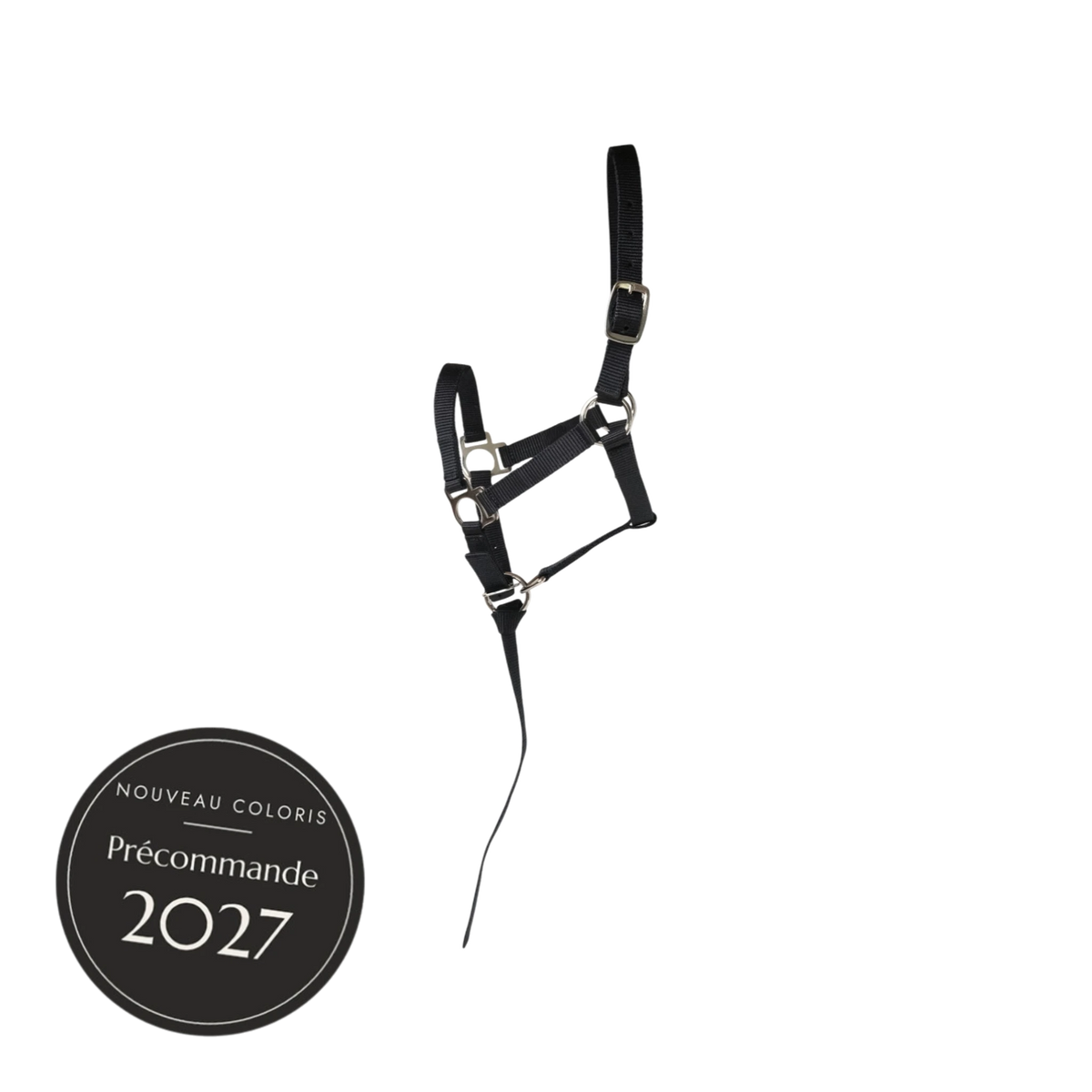 TdeT - Licol poulain avec longe plate Prélude marine