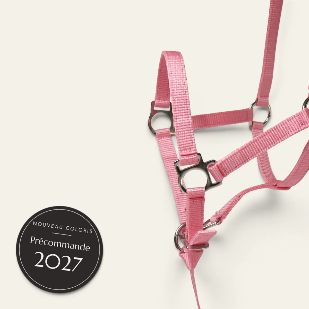 TdeT - Licol poulain avec longe plate Prélude rose