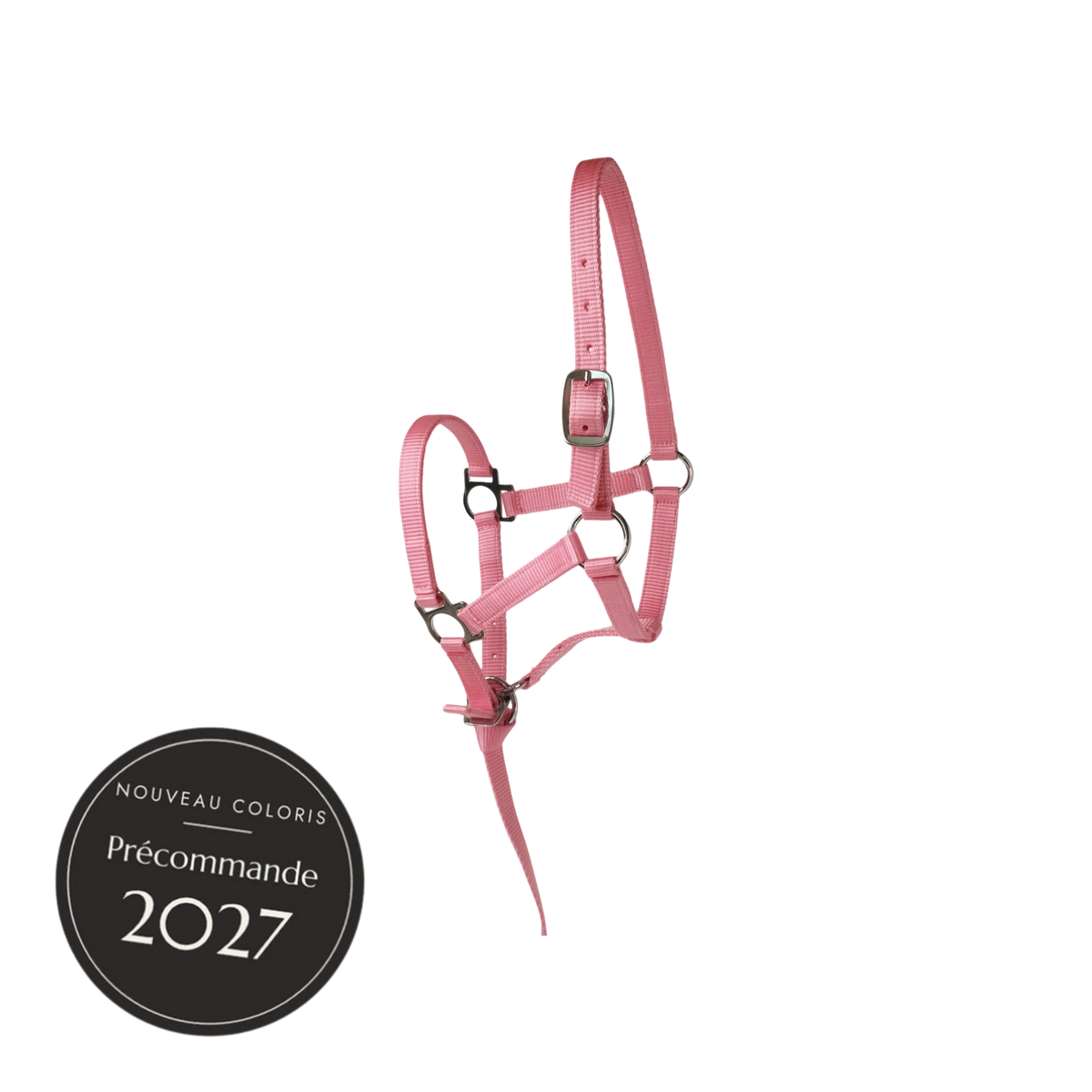 TdeT - Licol poulain avec longe plate Prélude rose