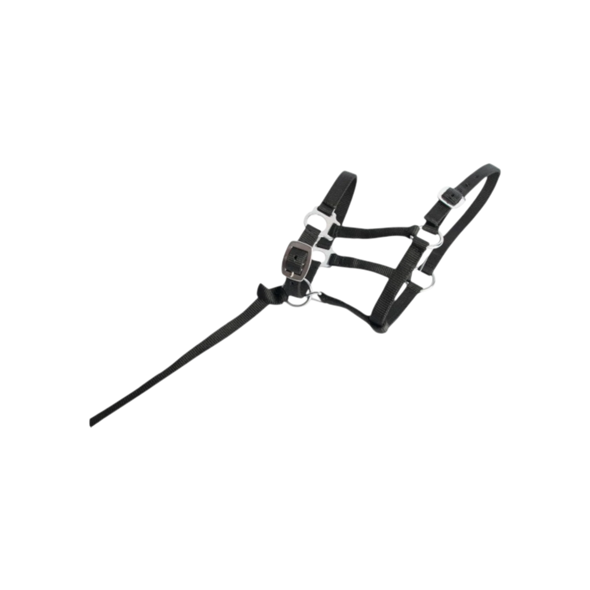 TdeT - Synthetic foal halter black