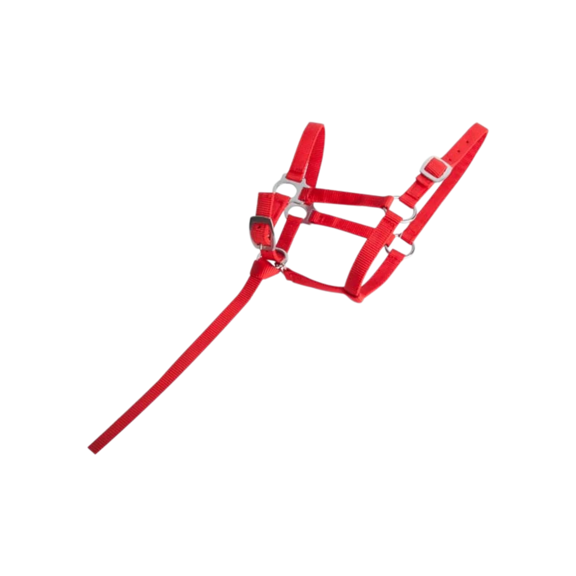 TdeT - Synthetic foal halter red