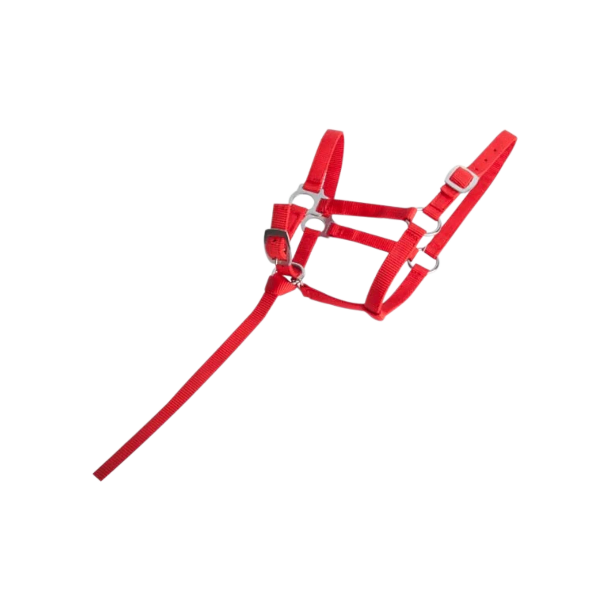 TdeT - Synthetic foal halter red