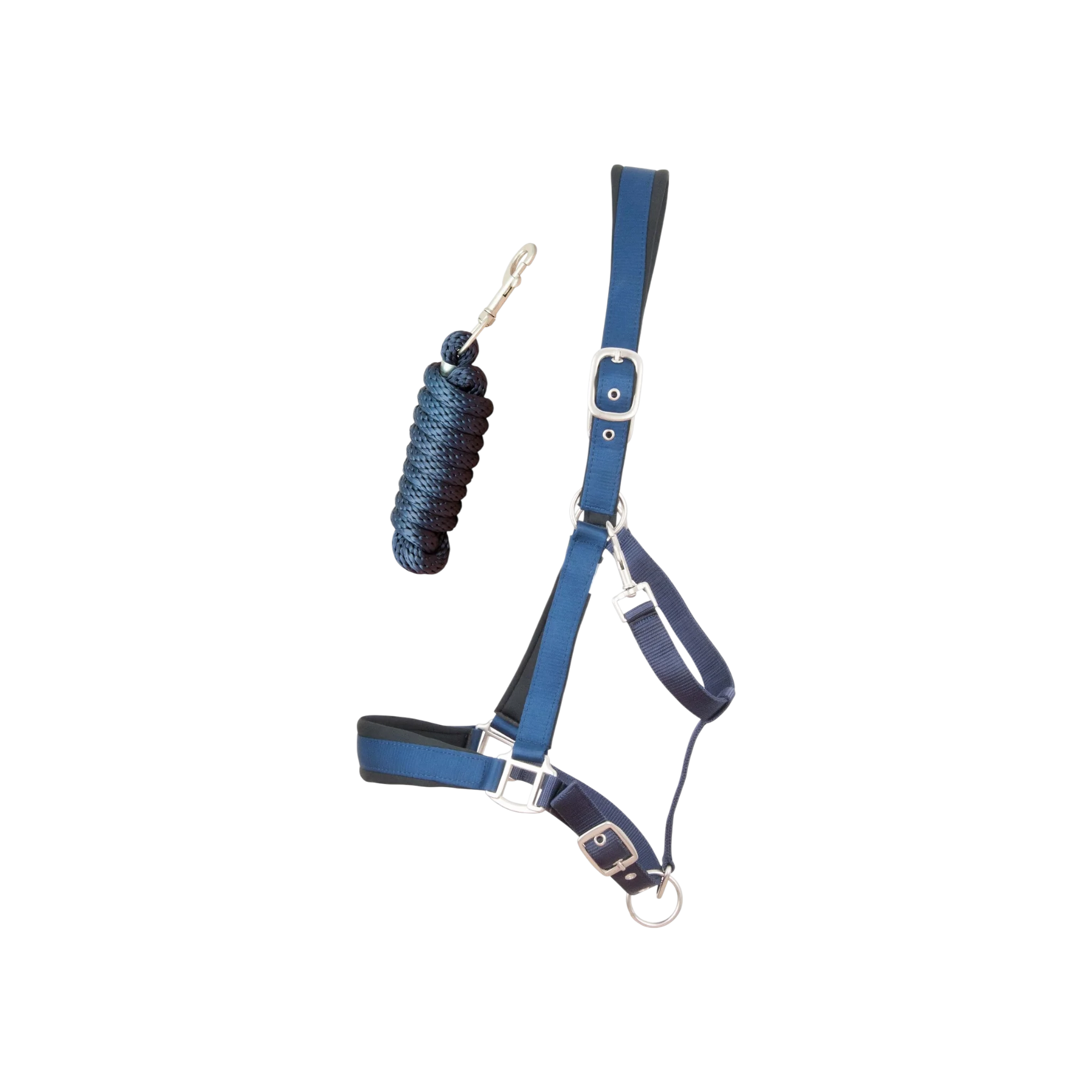 TdeT - Licol synthétique satiné doublé mousse et longe ronde marine
