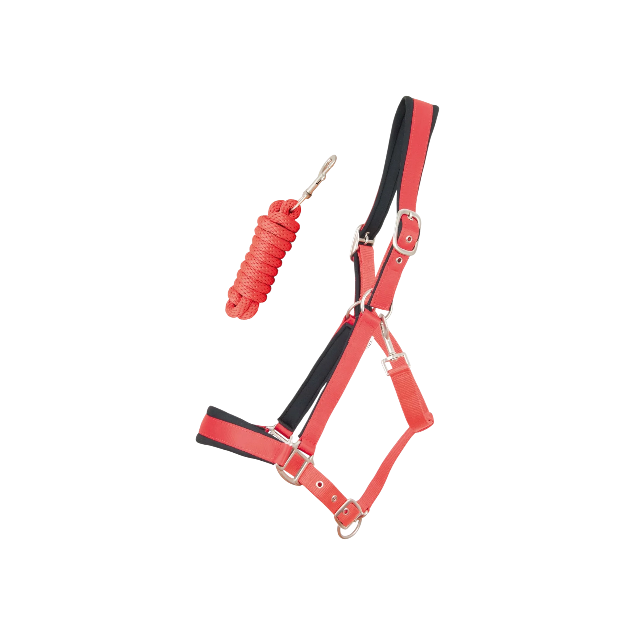 TdeT - Licol synthétique satiné doublé mousse et longe ronde rouge