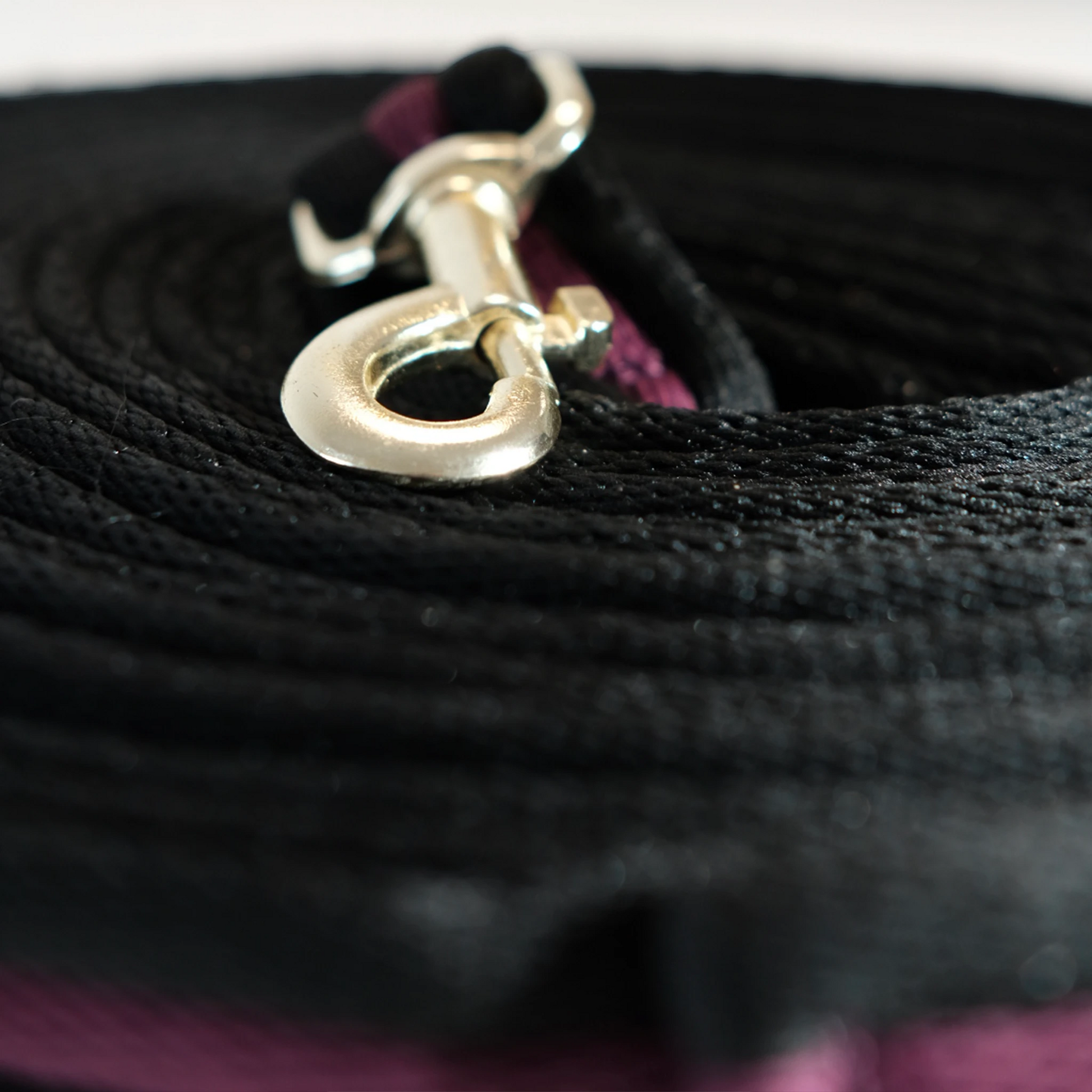 TdeT - Padded lunge line, black/plum