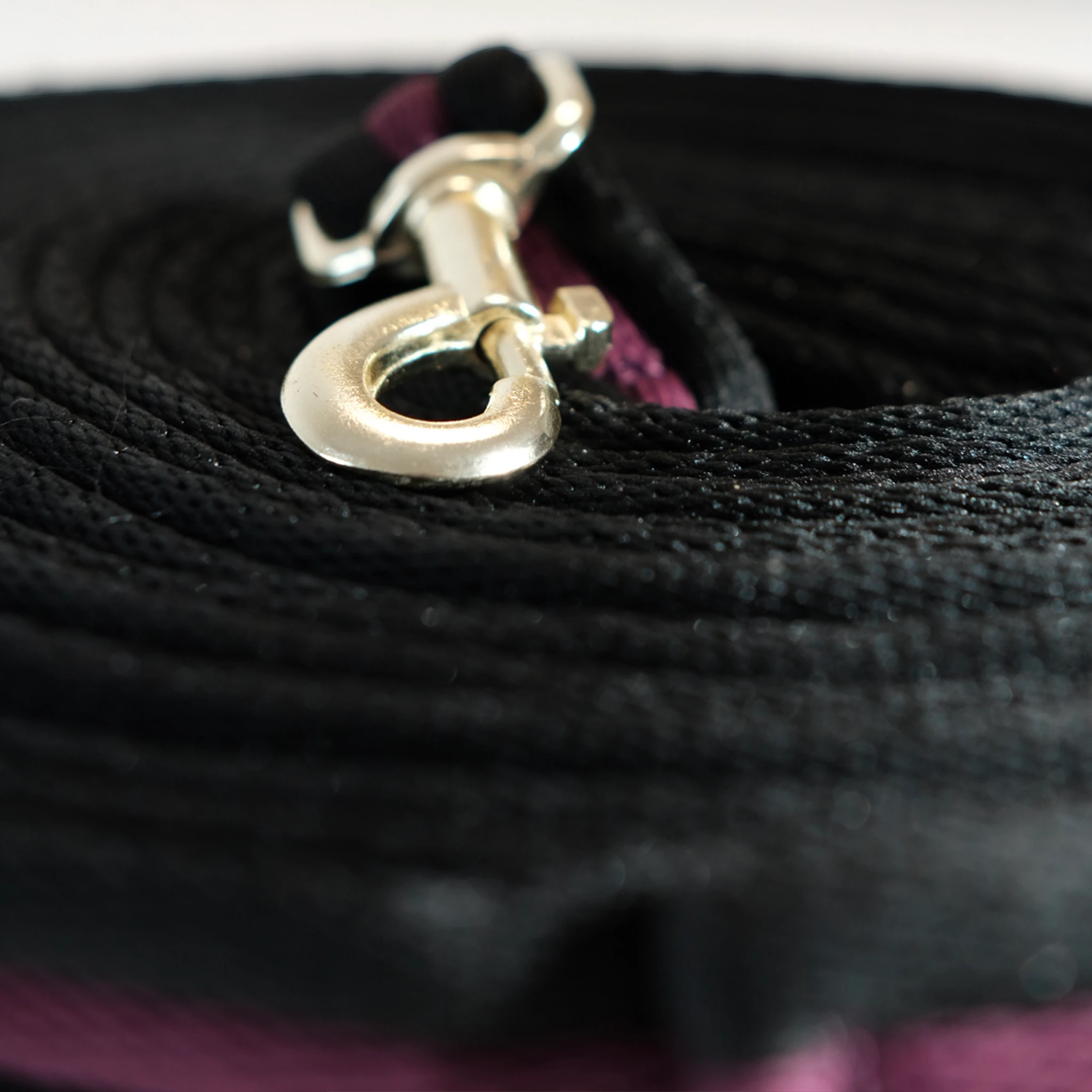 TdeT - Padded lunge line, black/plum