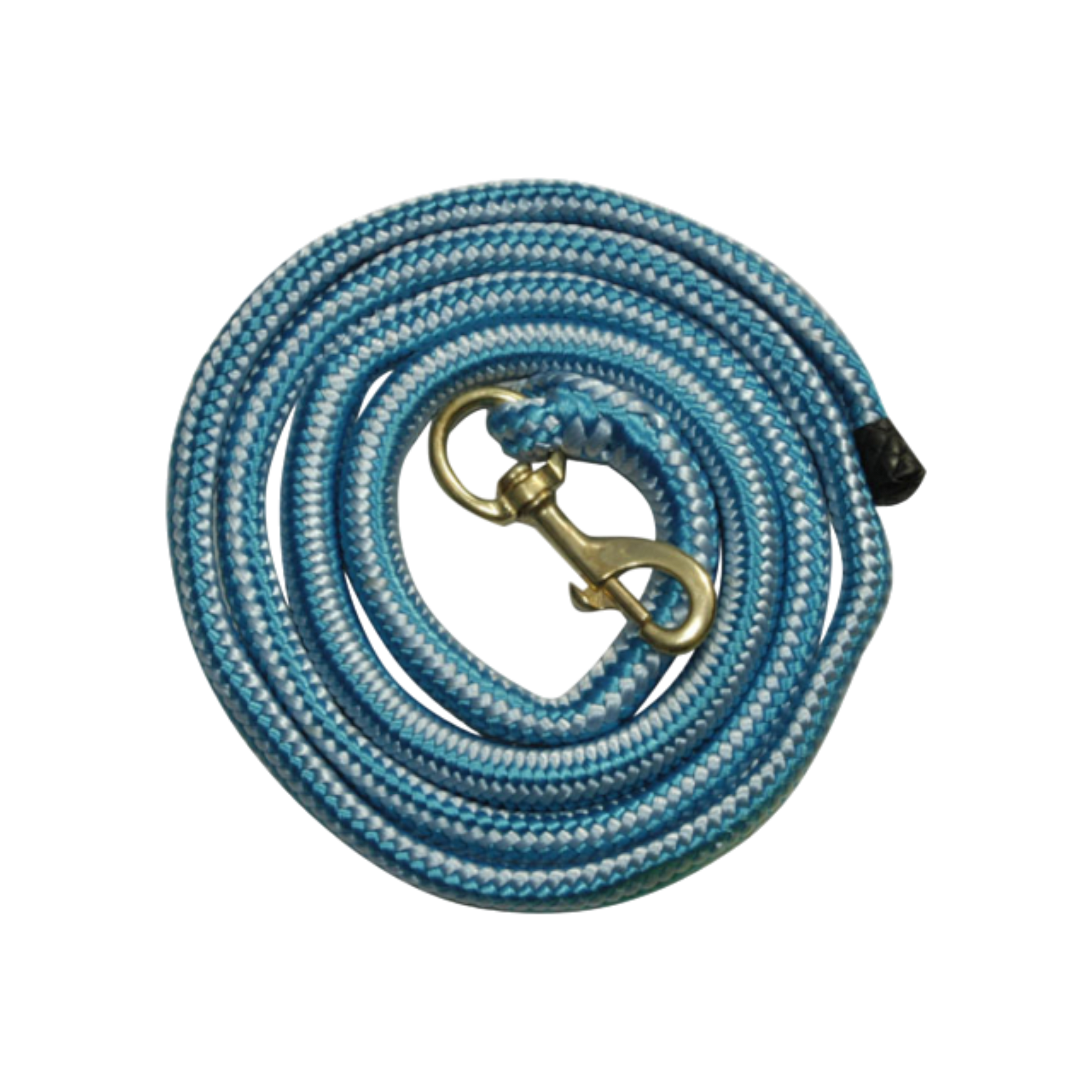 TdeT - Longe ronde élastique bleu/ bleu ciel