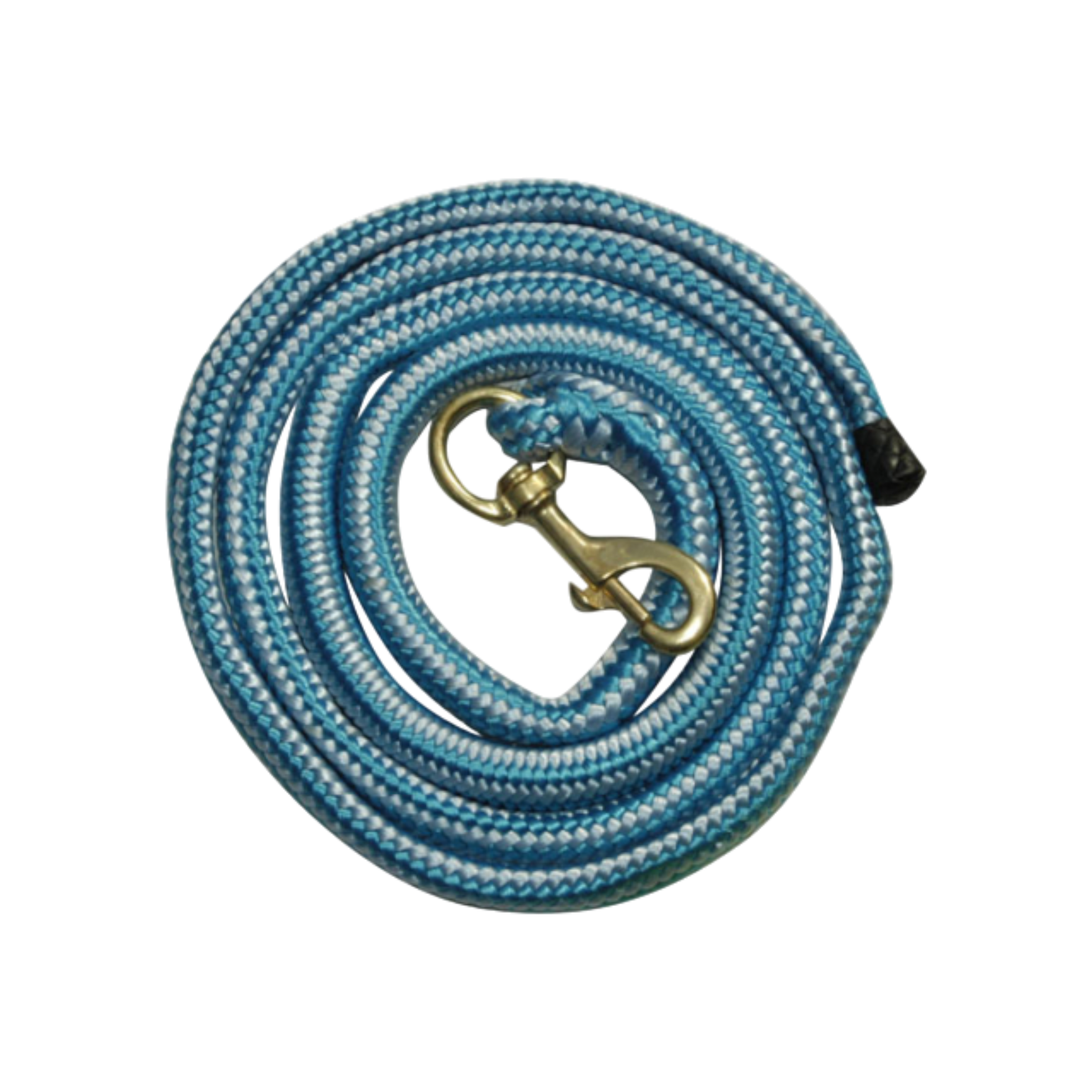 TdeT - Longe ronde élastique bleu/ bleu ciel