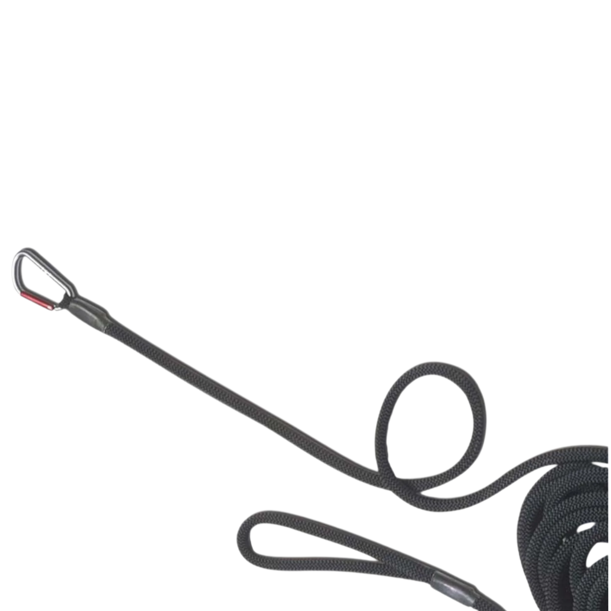 TdeT - Longe à tourner ronde noir