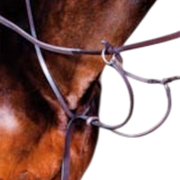 TdeT - Martingale classique havane foncé