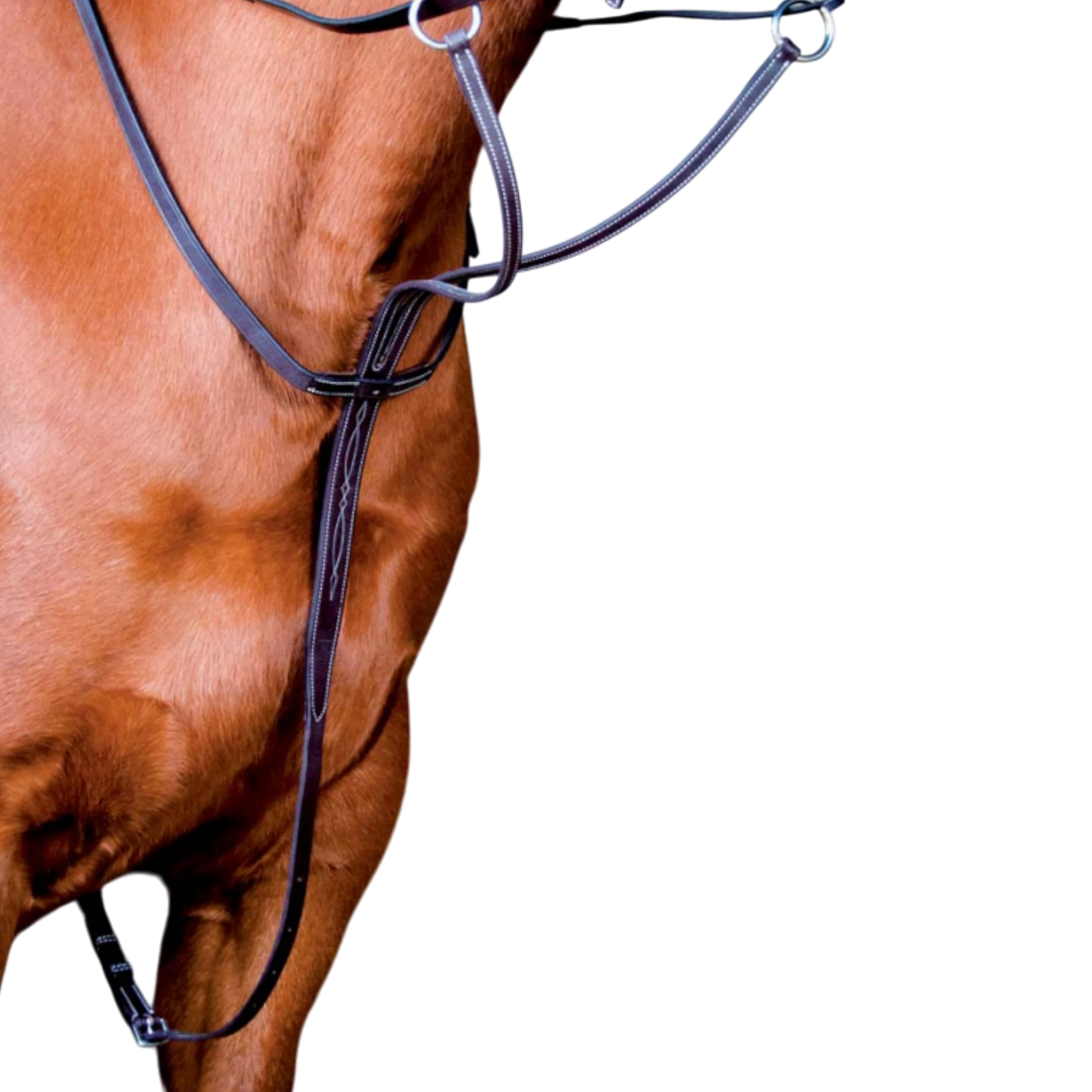 TdeT - Topstitched martingale dark havana