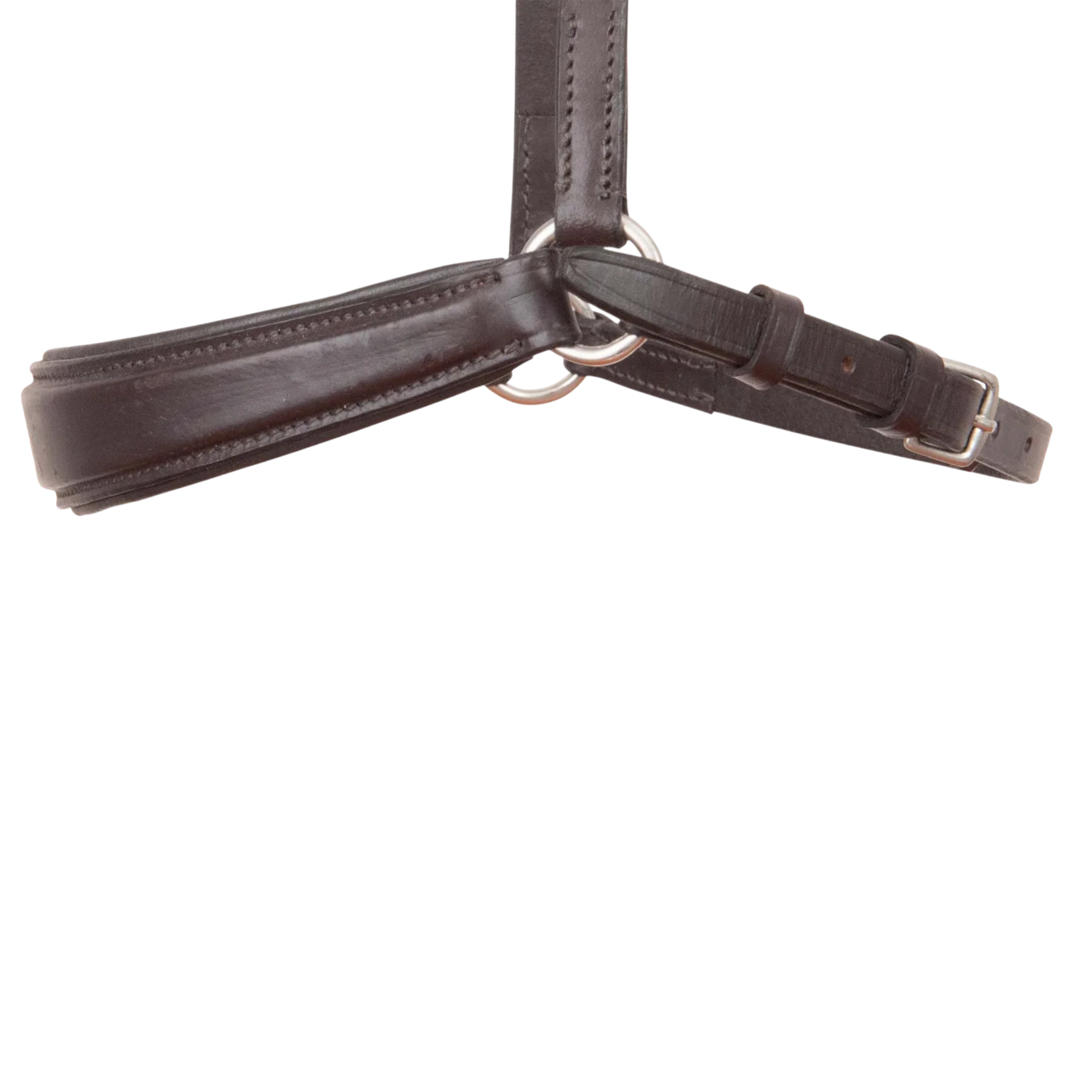 TdeT - Muserolle allemande havane foncé