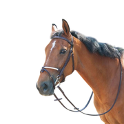 TdeT - Muserolle cuir et corde havane foncé