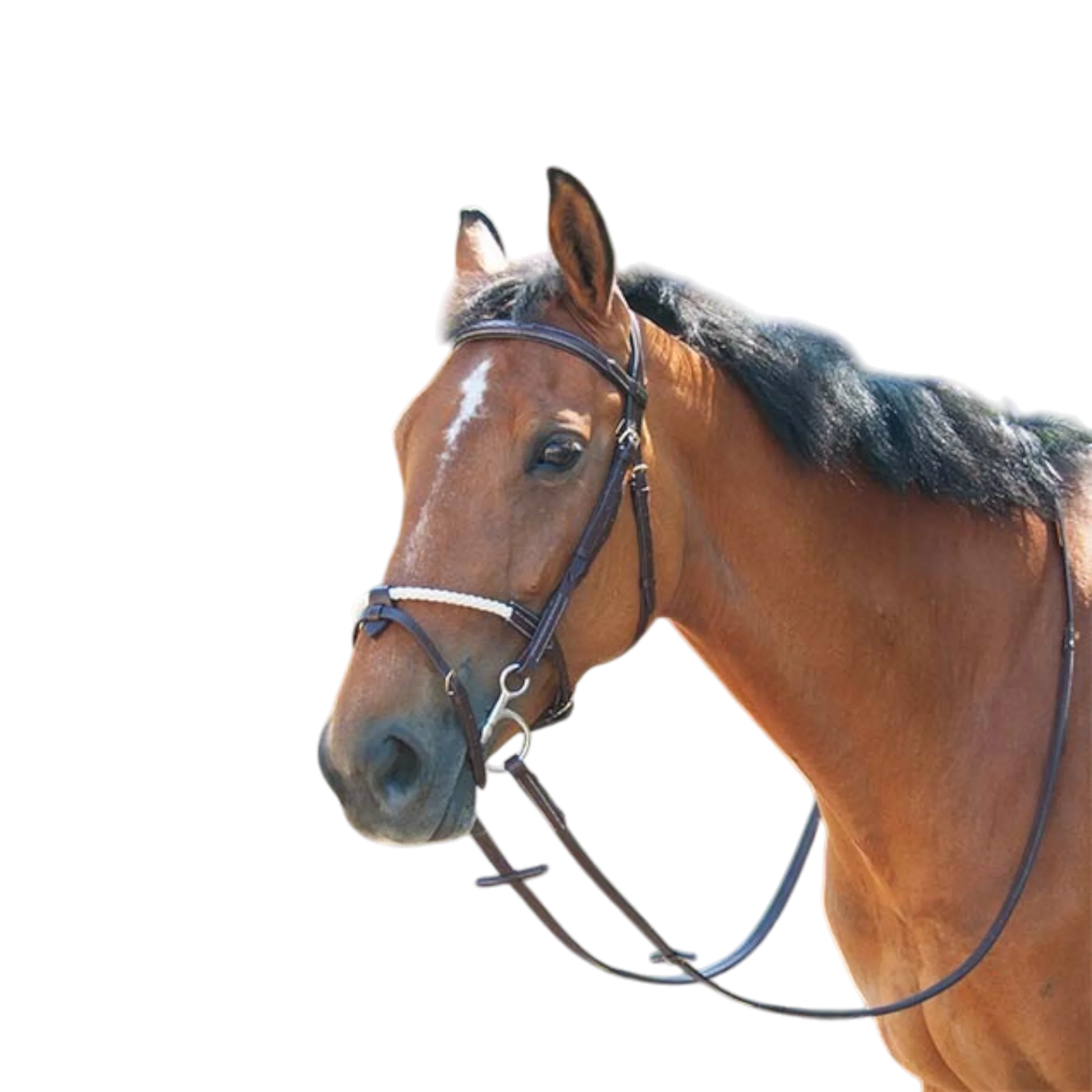 TdeT - Muserolle cuir et corde havane foncé